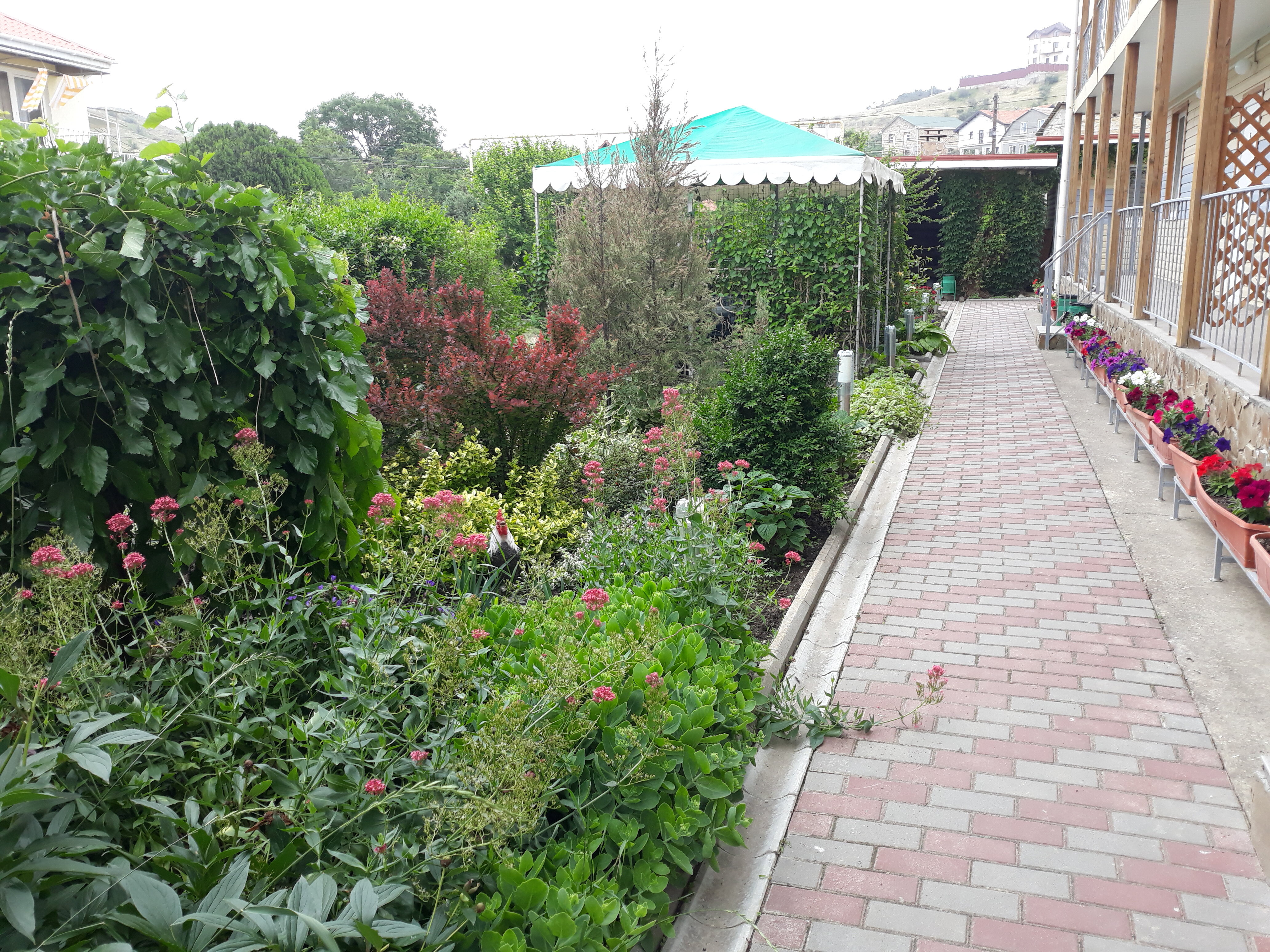 Фото Гостевой дом Канны