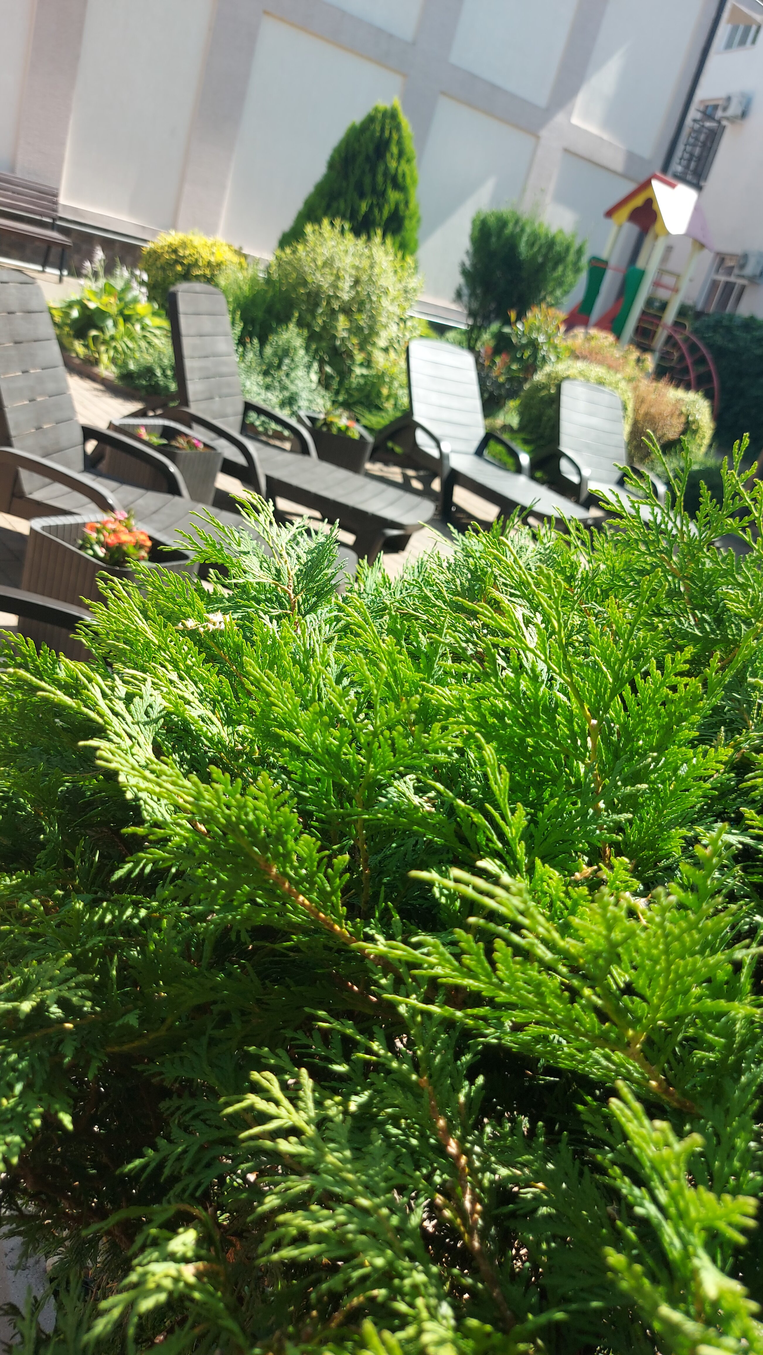 Фото Гостевой дом Шоколад