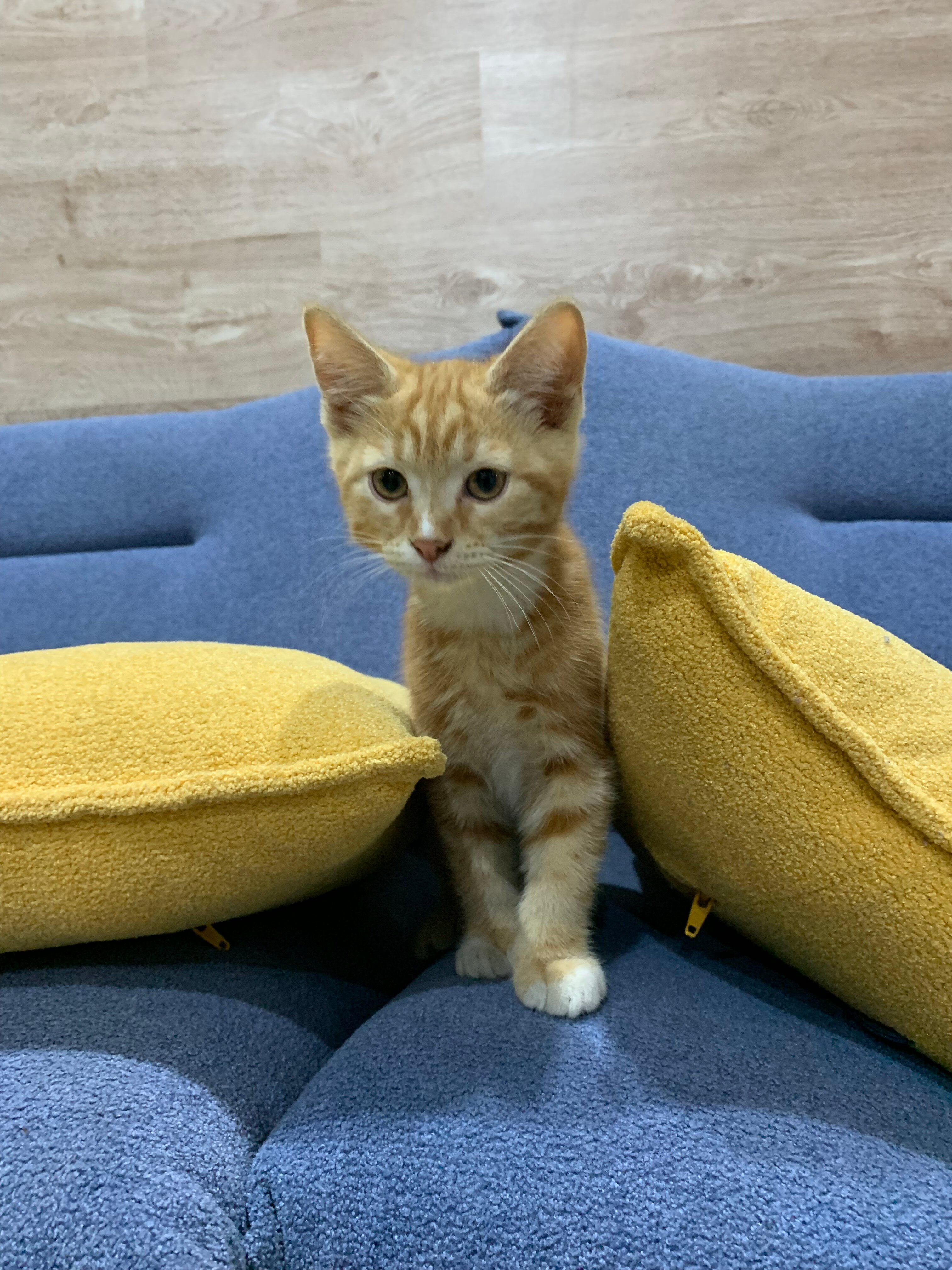 Фото Теремок