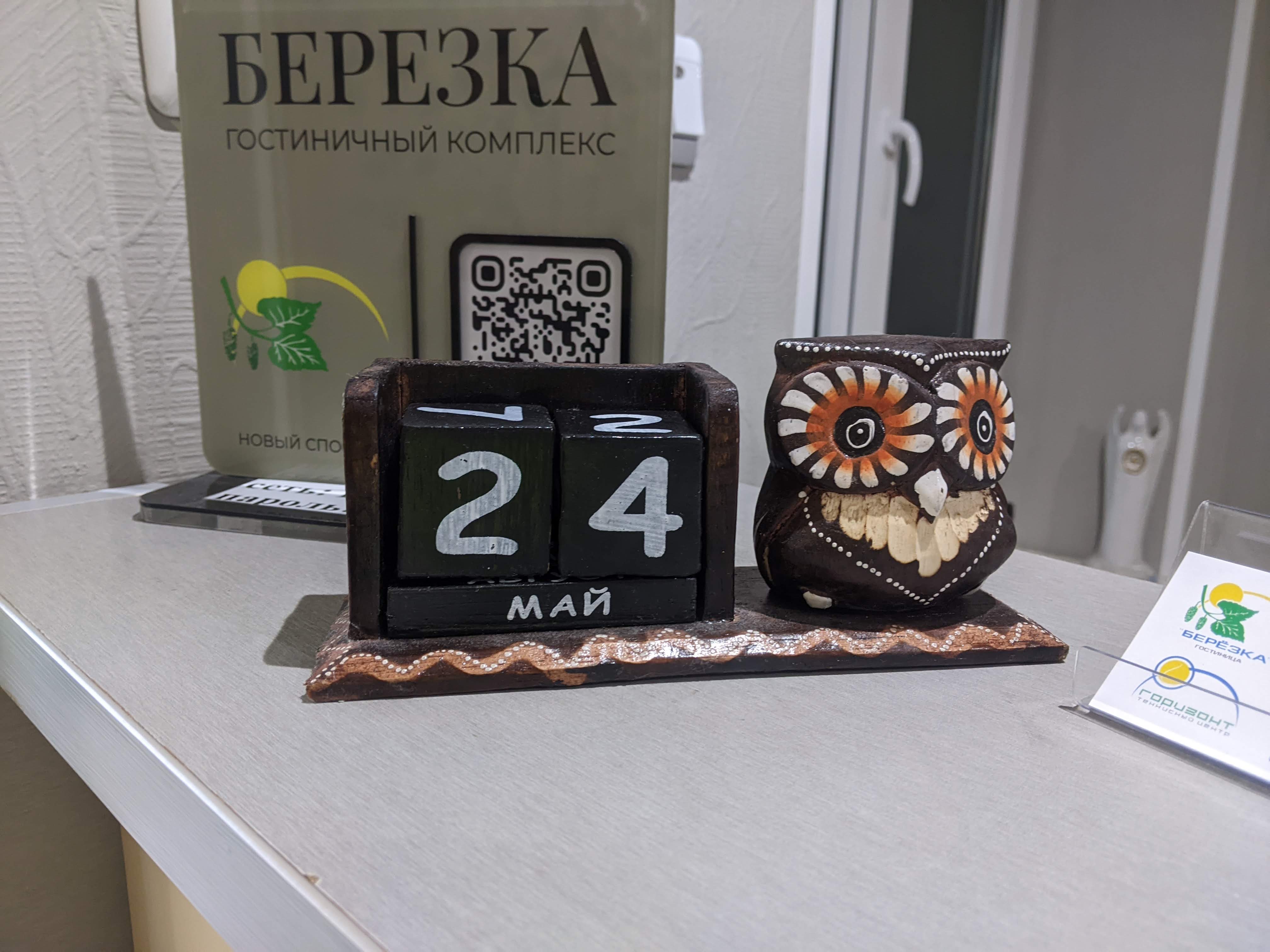 Фото Берёзка