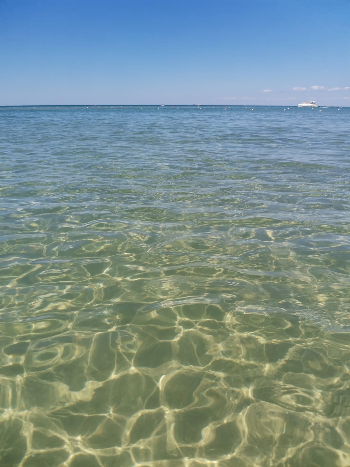 Фото Атлантик