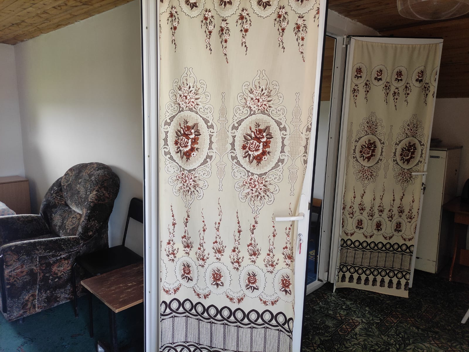 Фото Холодок