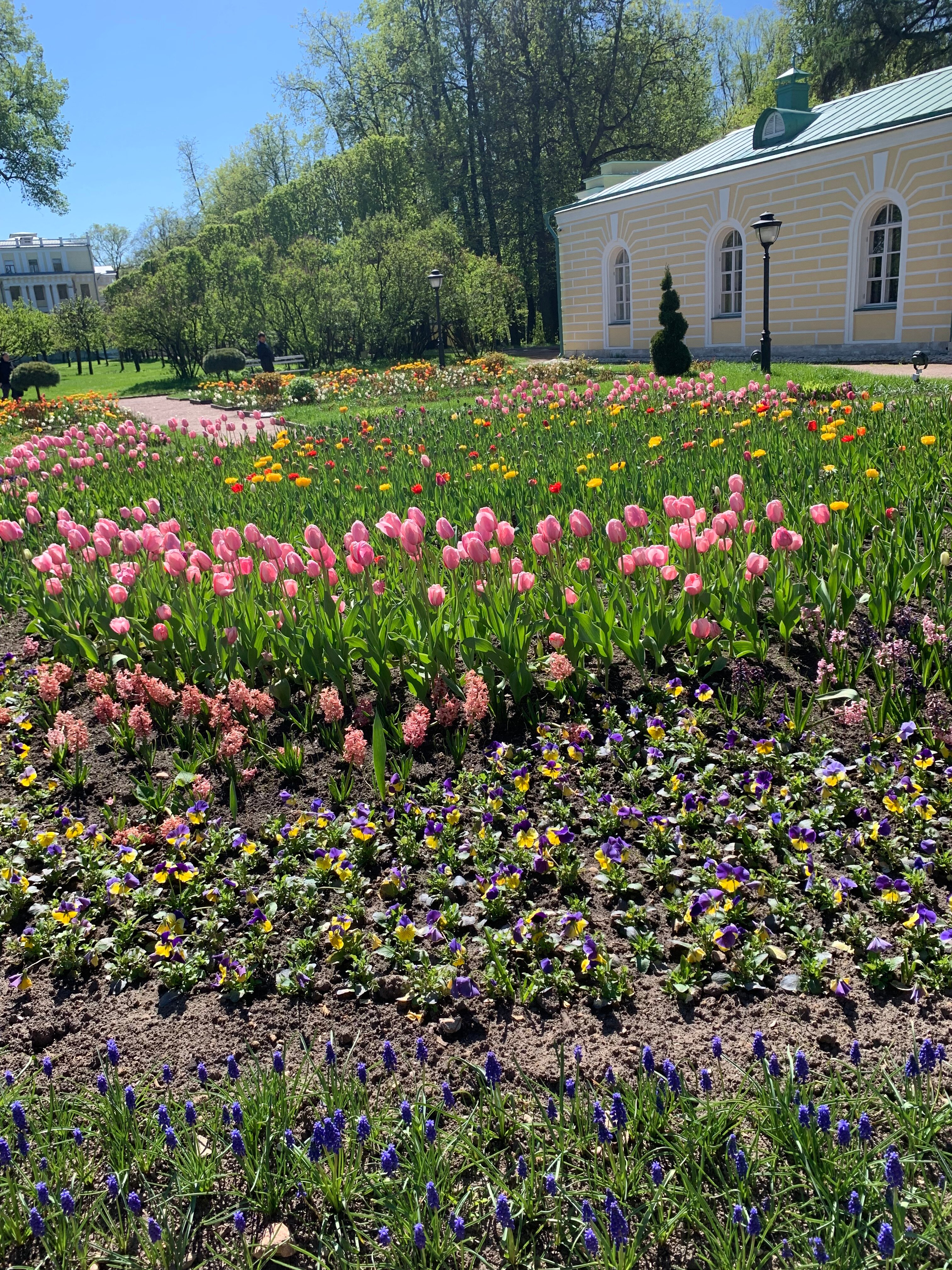 Фото Баден-Баден