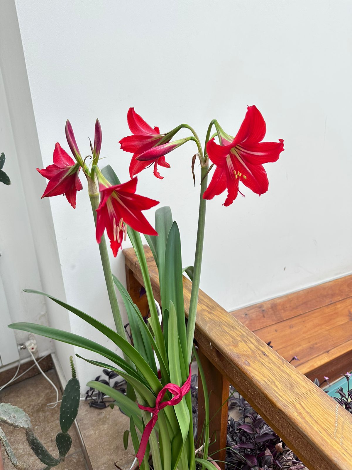 Фото Yerevan hotel