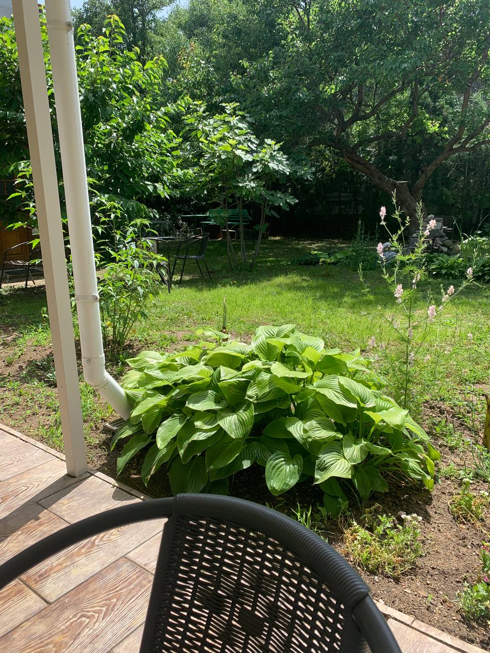 Фото Домики в саду