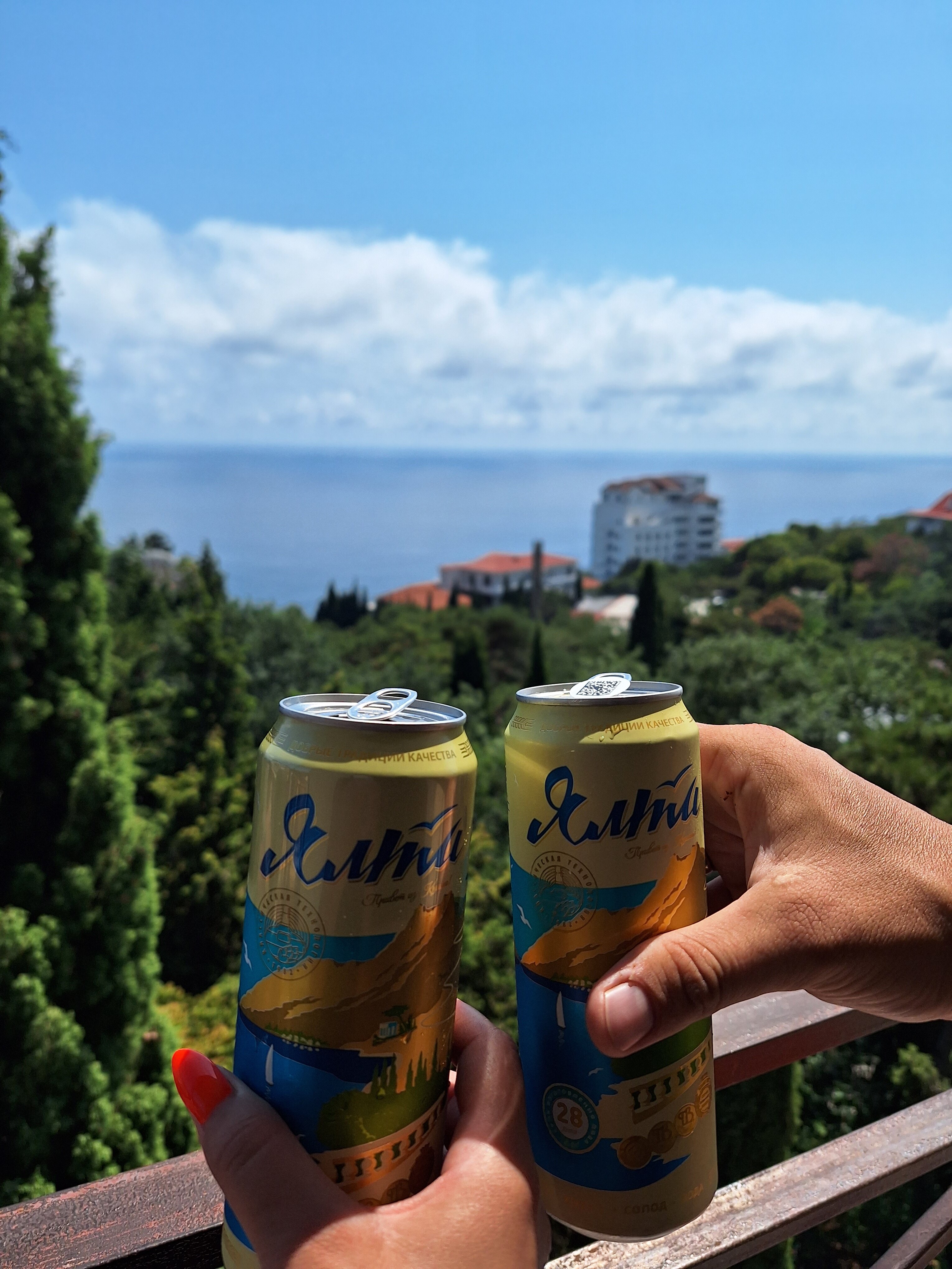 Фото Пальма