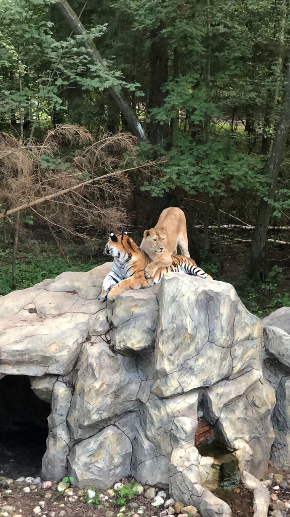 Animal cage Парк Тигров, Moscow and Moscow Oblast, photo