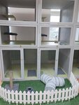 Мурчилл (Sovetskaya ulitsa, 121А), pet hotel