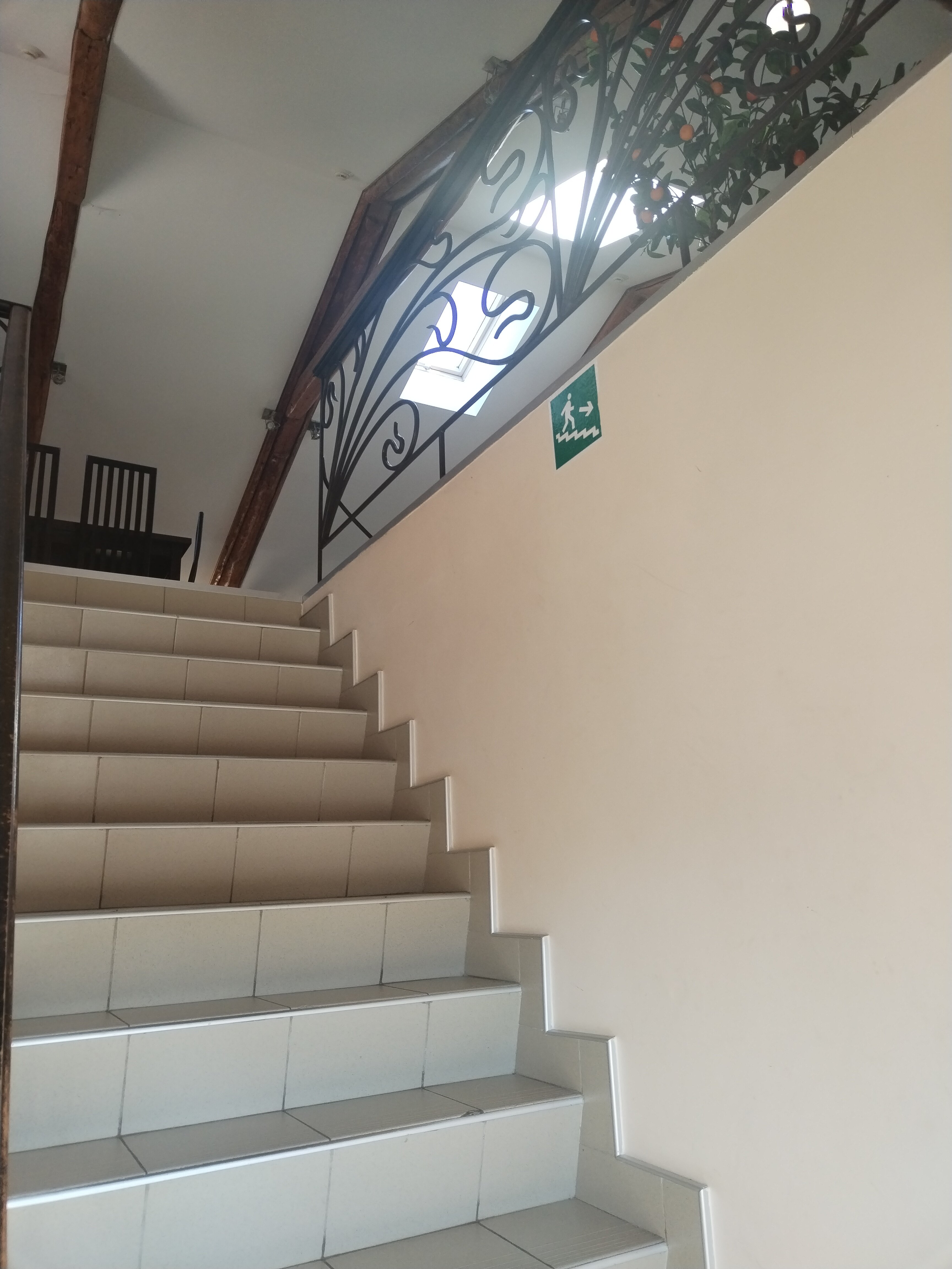 Фото Фроотель