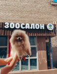 Пёскин (Simferopolsky Boulevard, 22к1) ، صالون حيوانات أليفة