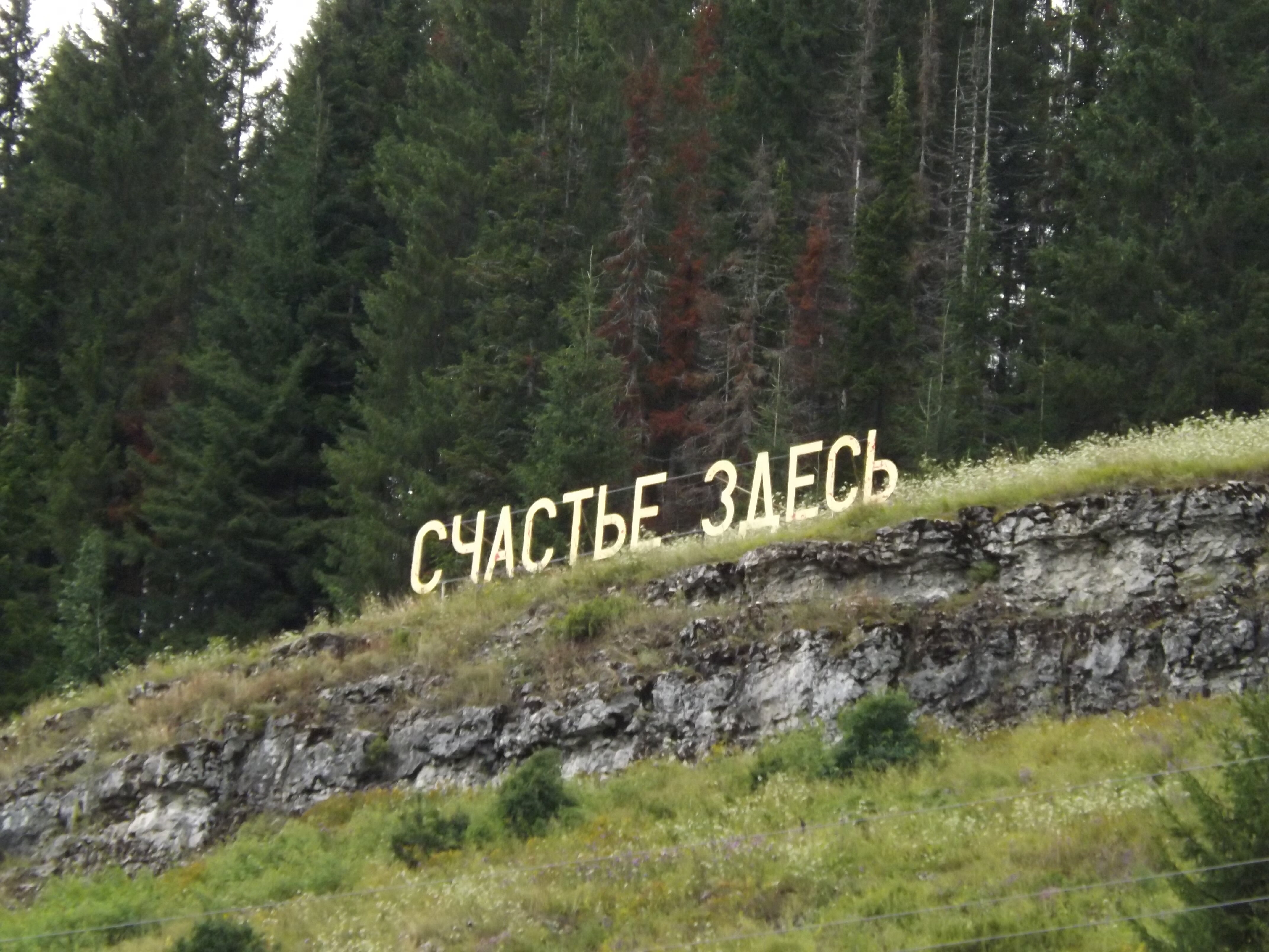 Фото Панорамный