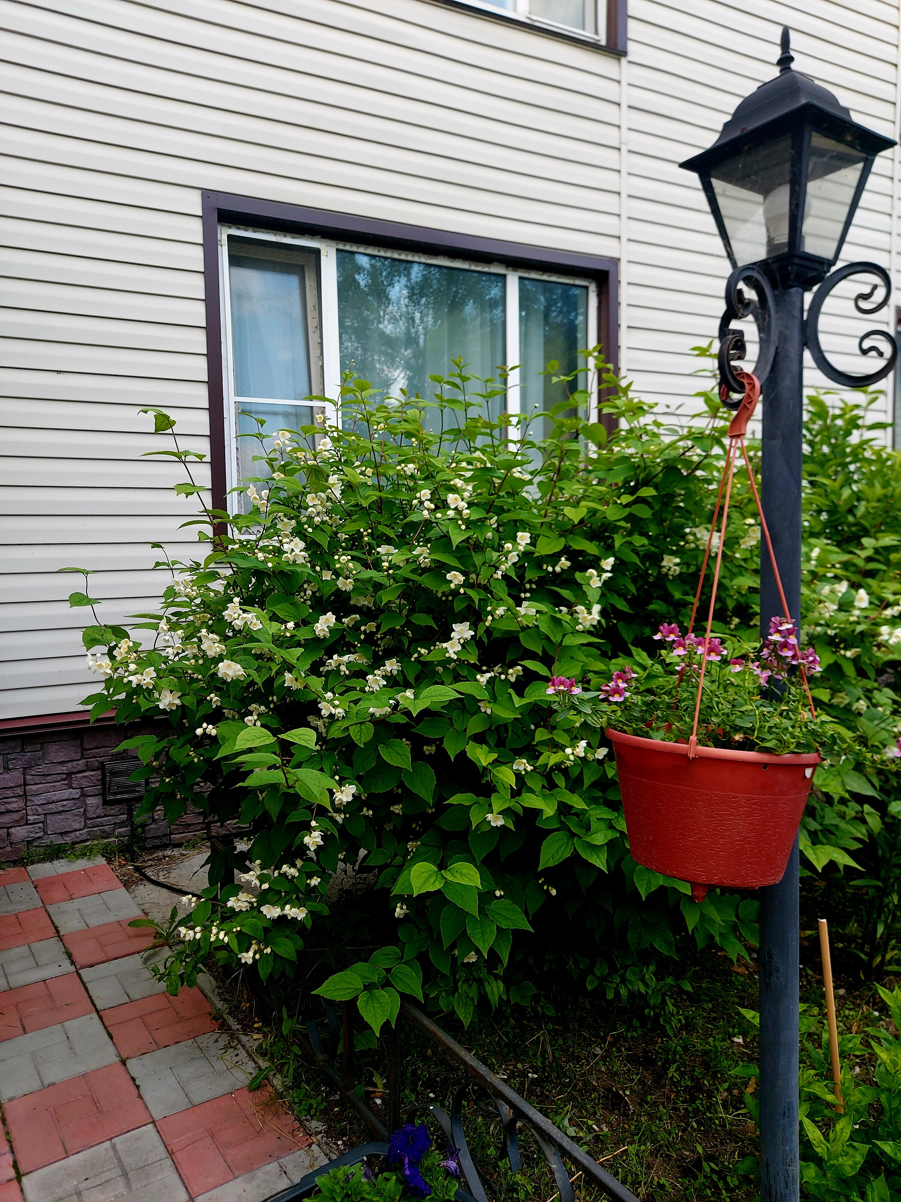 Фото Камчатдар