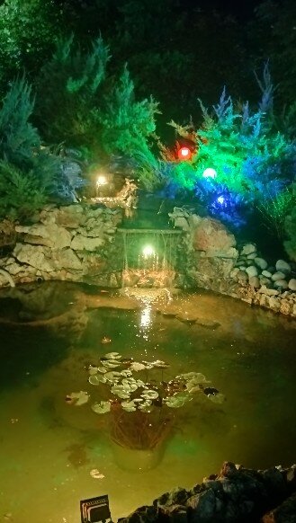 Фото Приморье