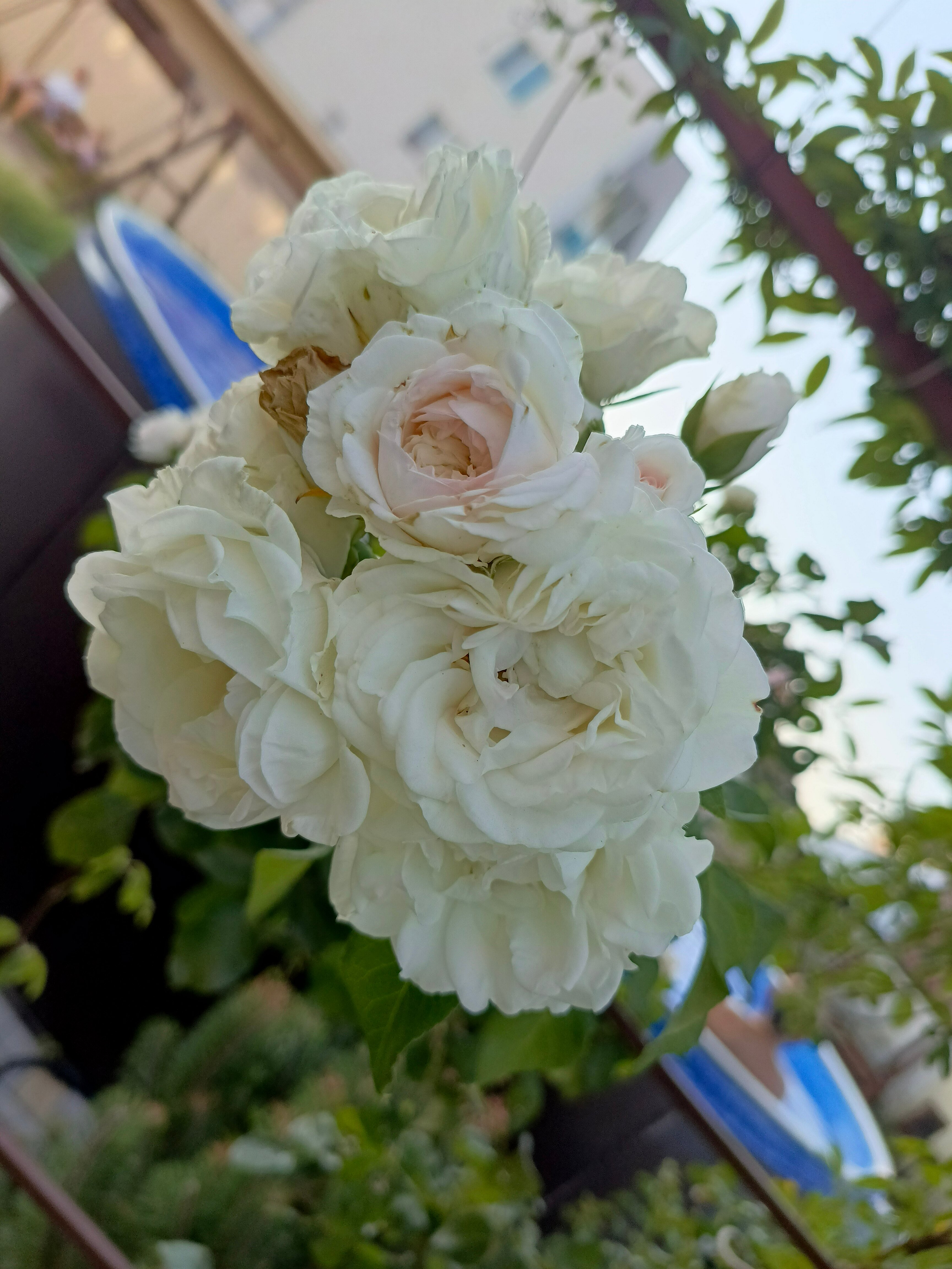 Фото Белогорье