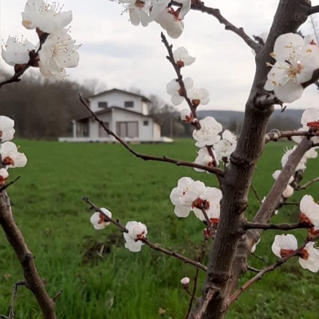 Фото Карский клуб