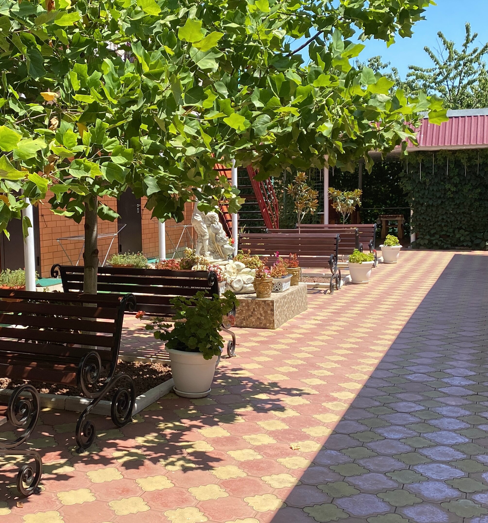 Фото Золотые Пески