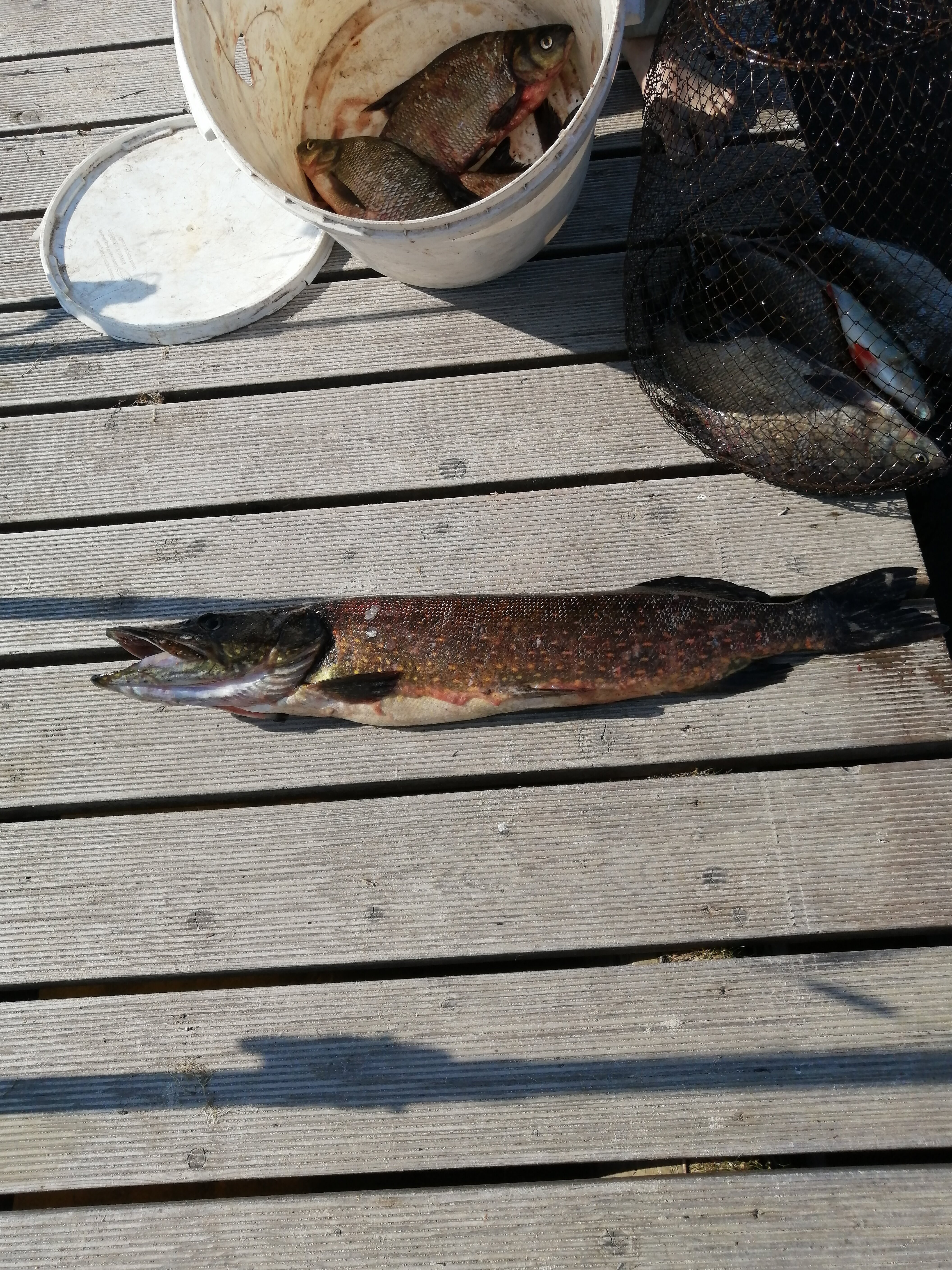 Фото Лахта&Ярви