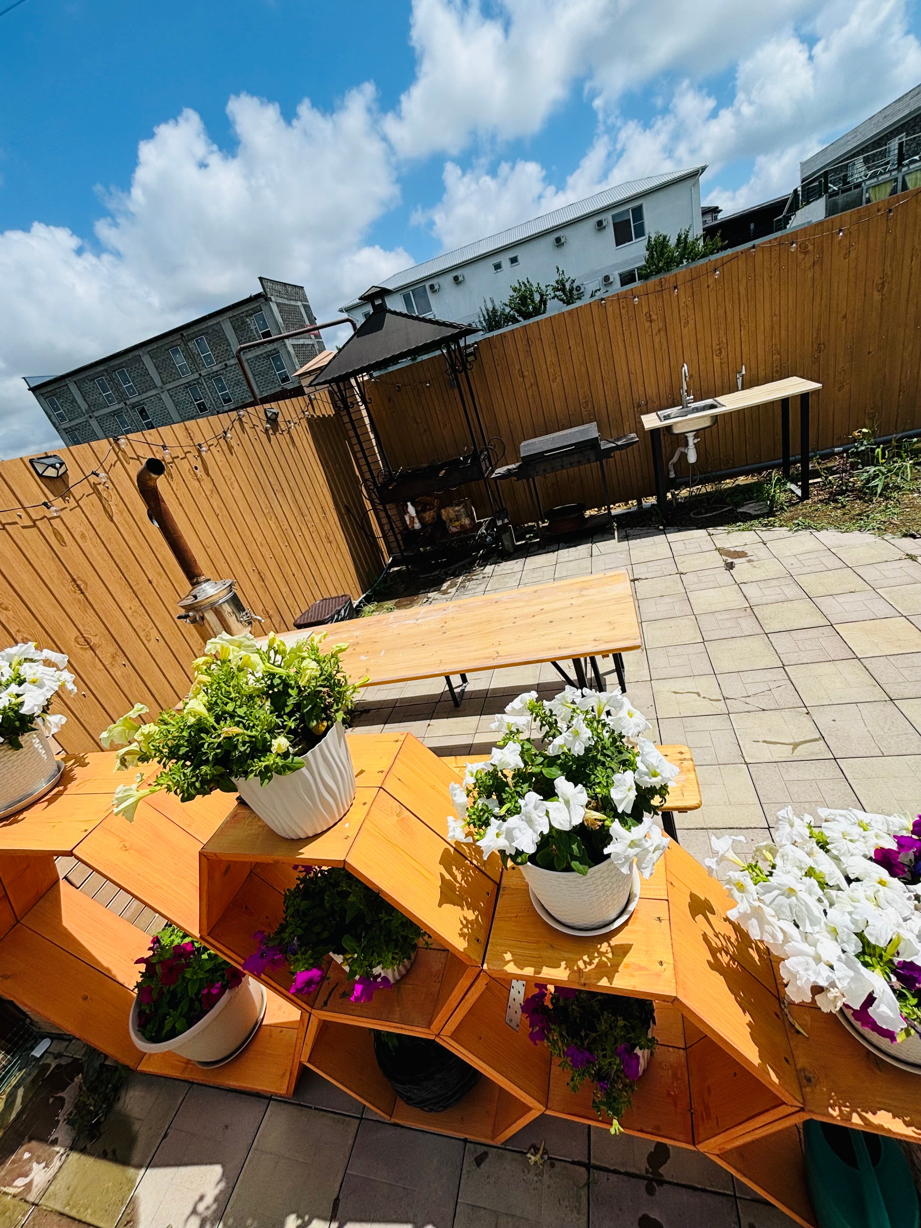 Фото Green Elephant