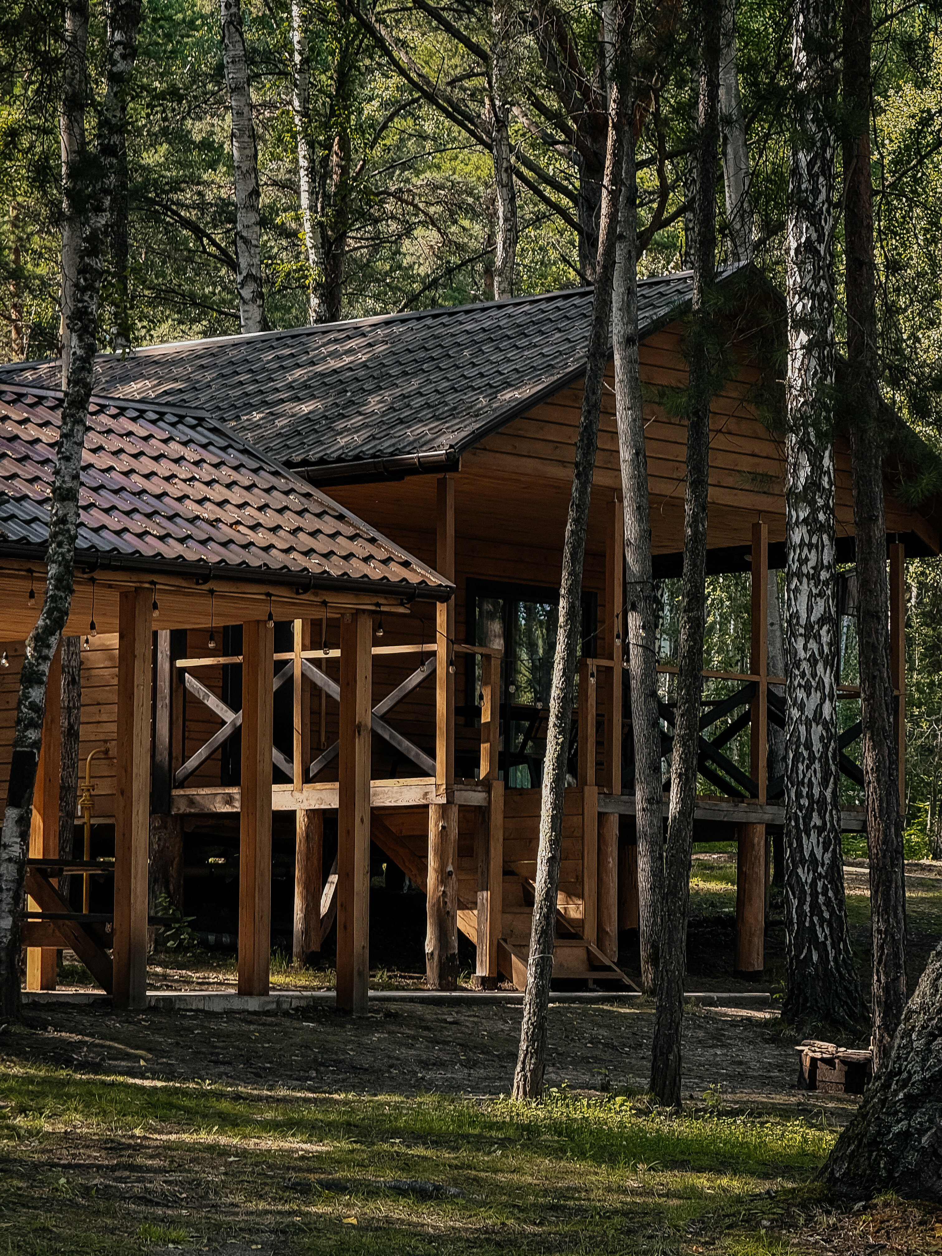 Фото Место под солнцем