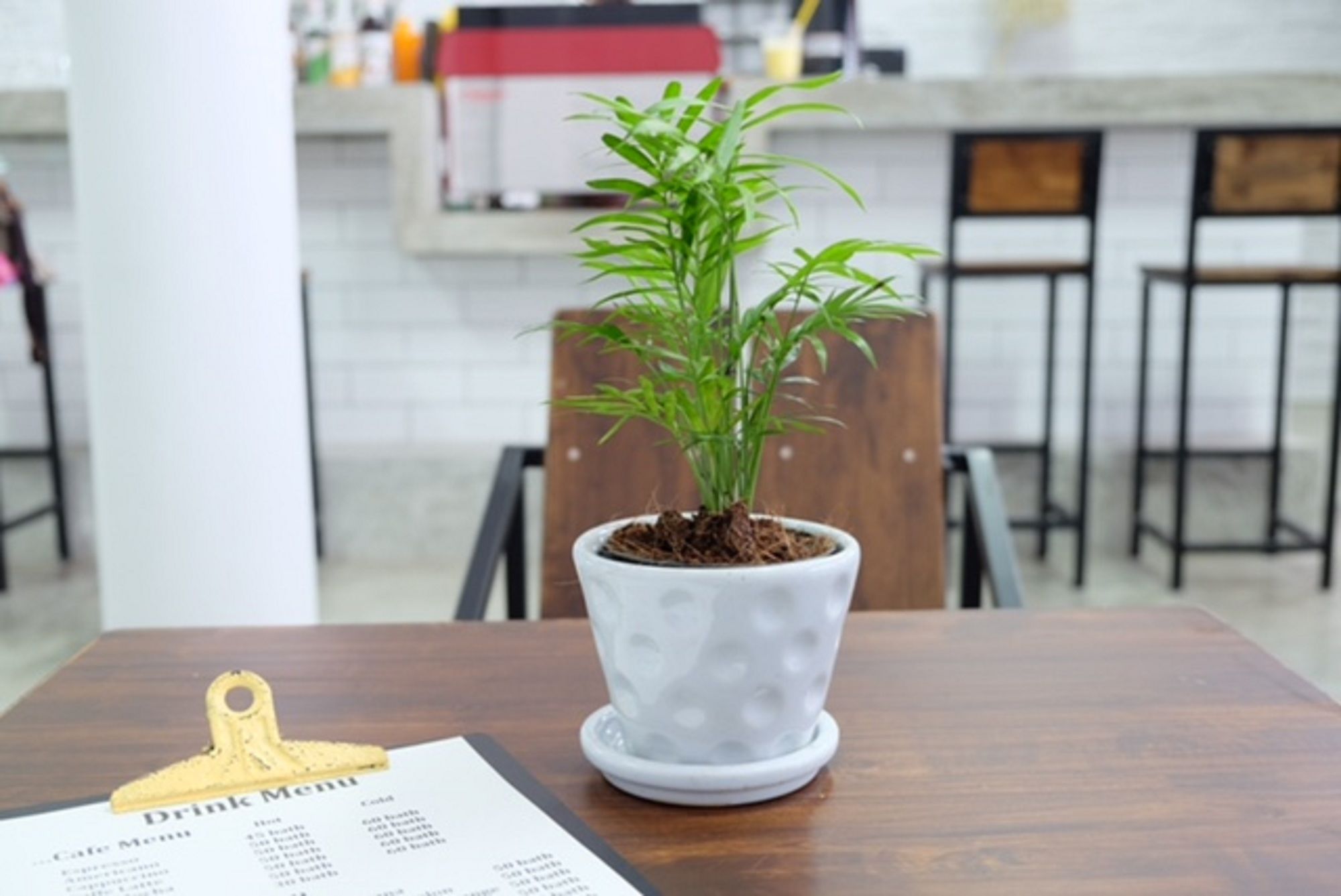 Фото Backpack Station - Hostel