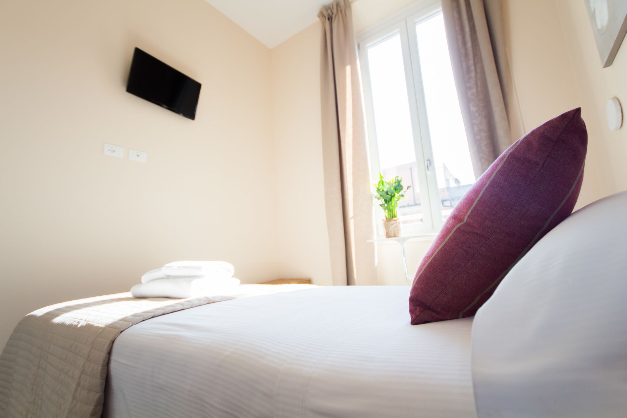 Фото Emily Rooms