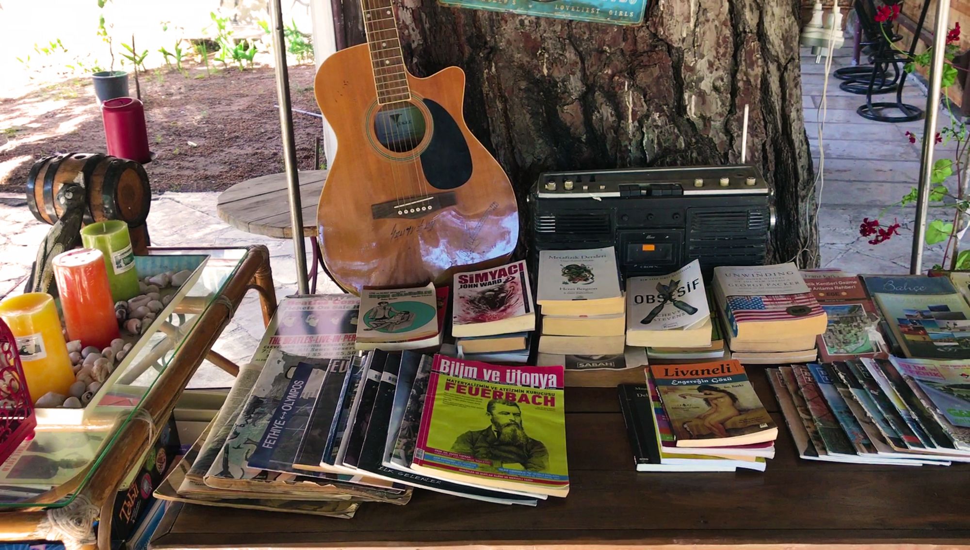 Фото Koala Bungalows