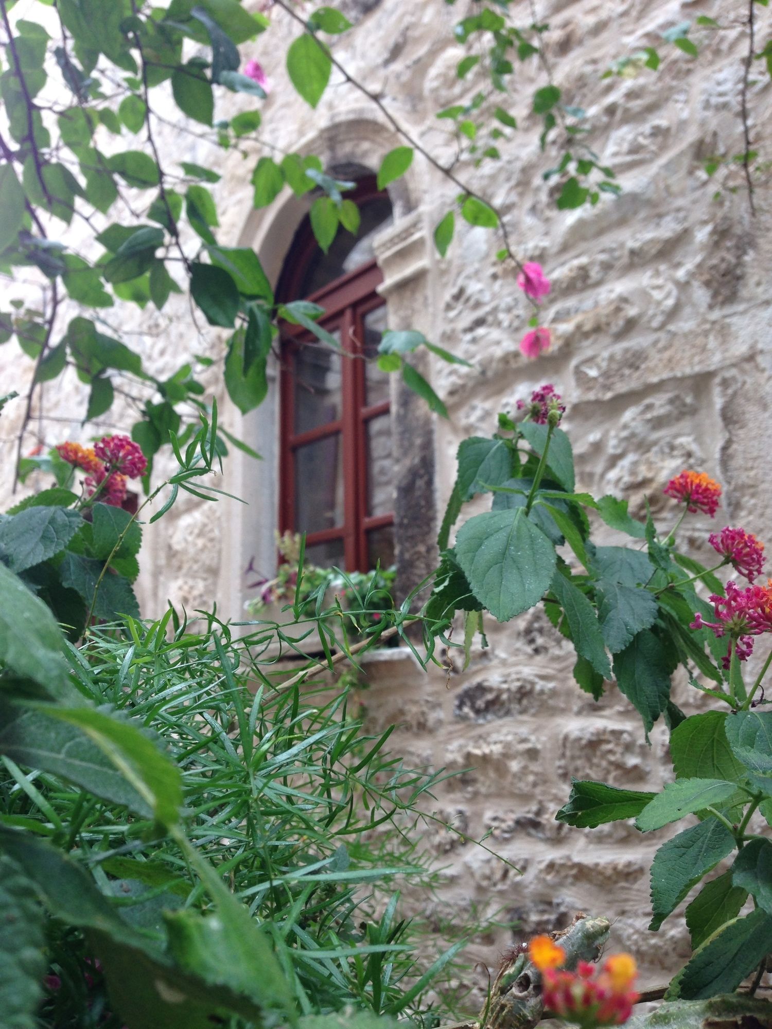 Фото Hotel Villa Nora