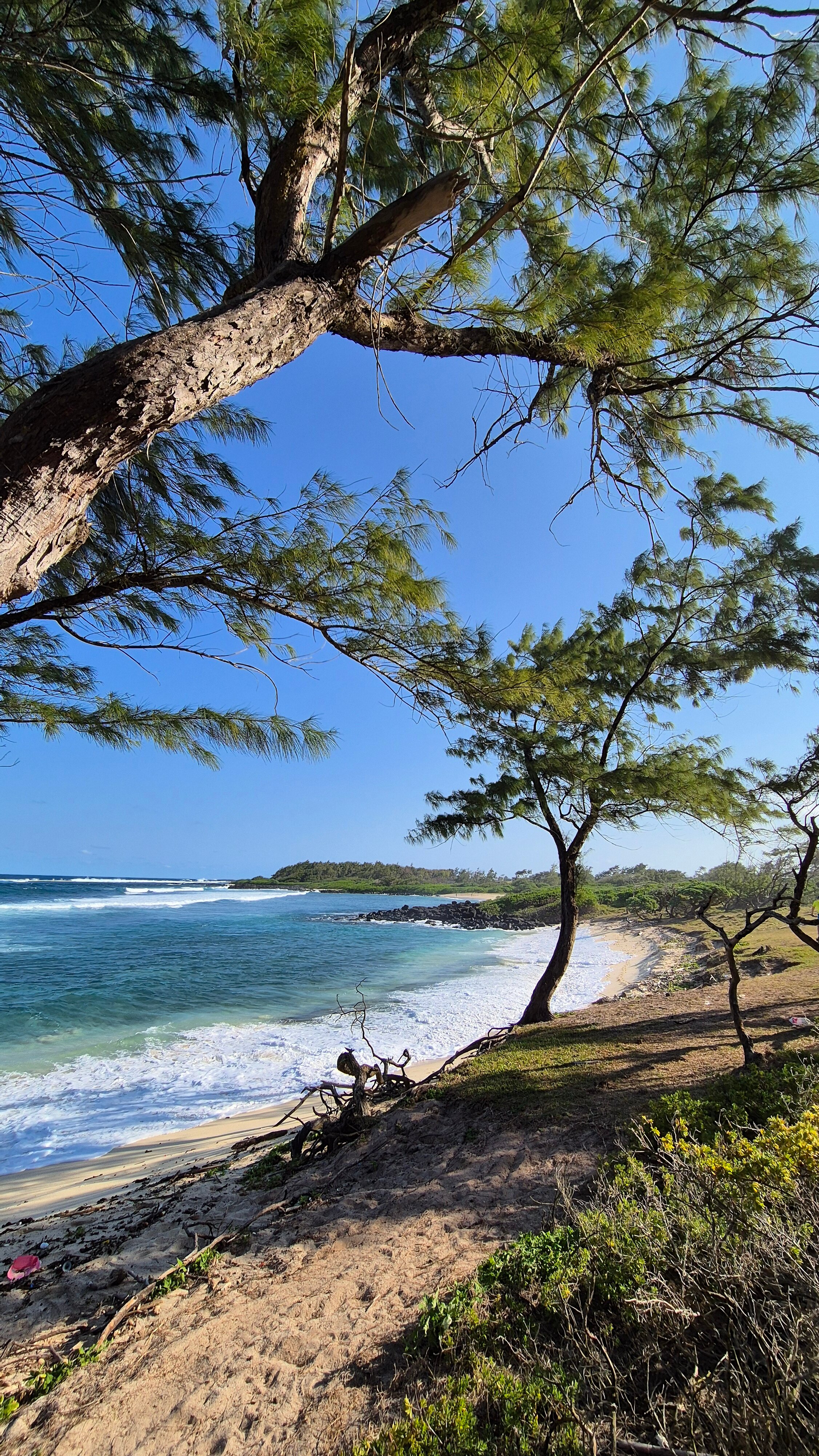 Фото Anantara Iko Mauritius Resort & Villas