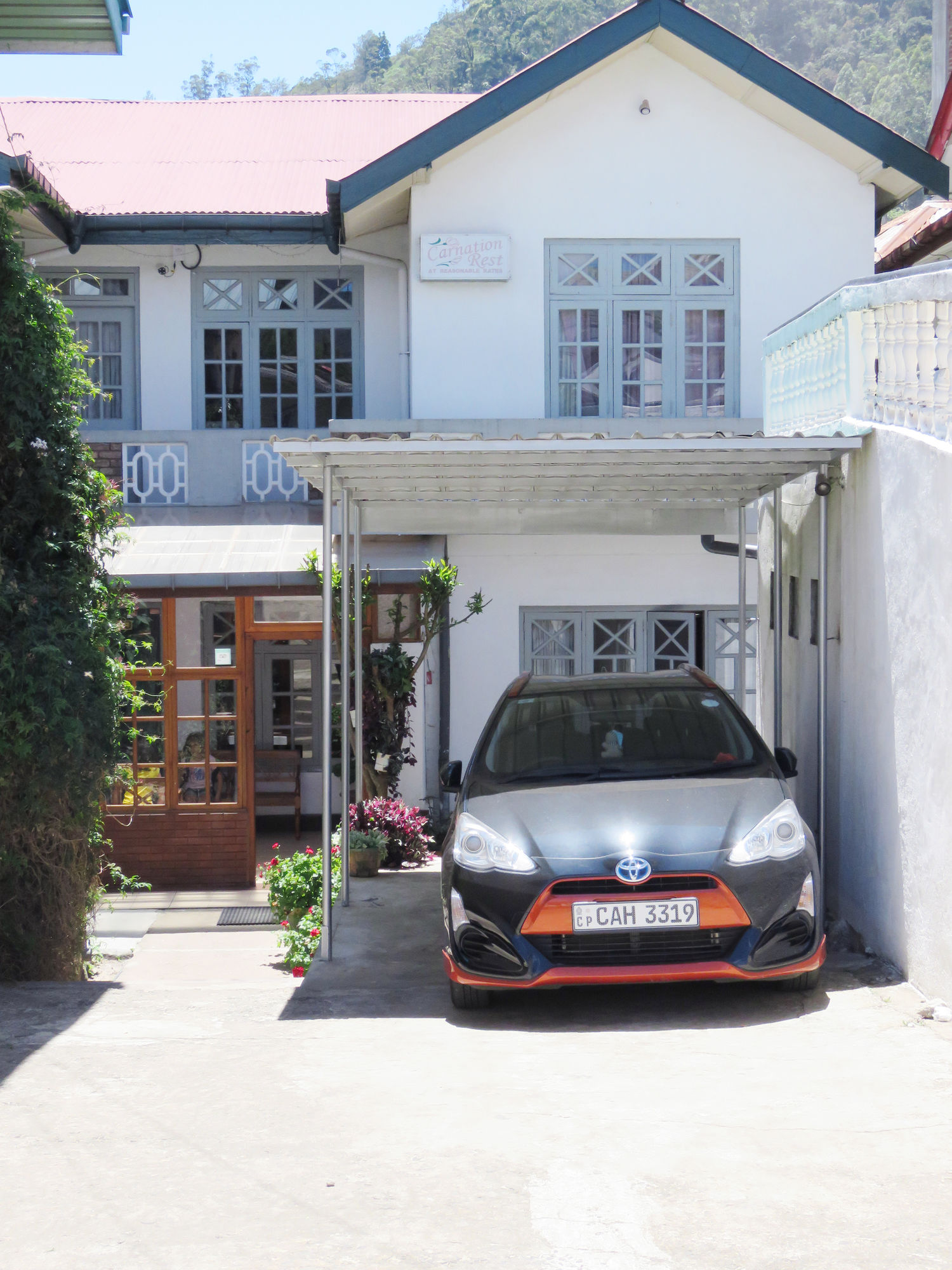 Фото Carnation Rest