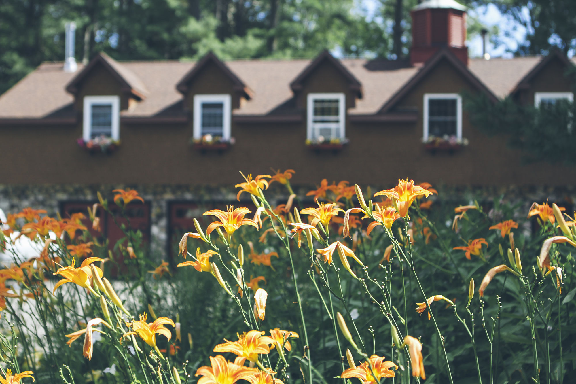 Фото The Old Saco Inn