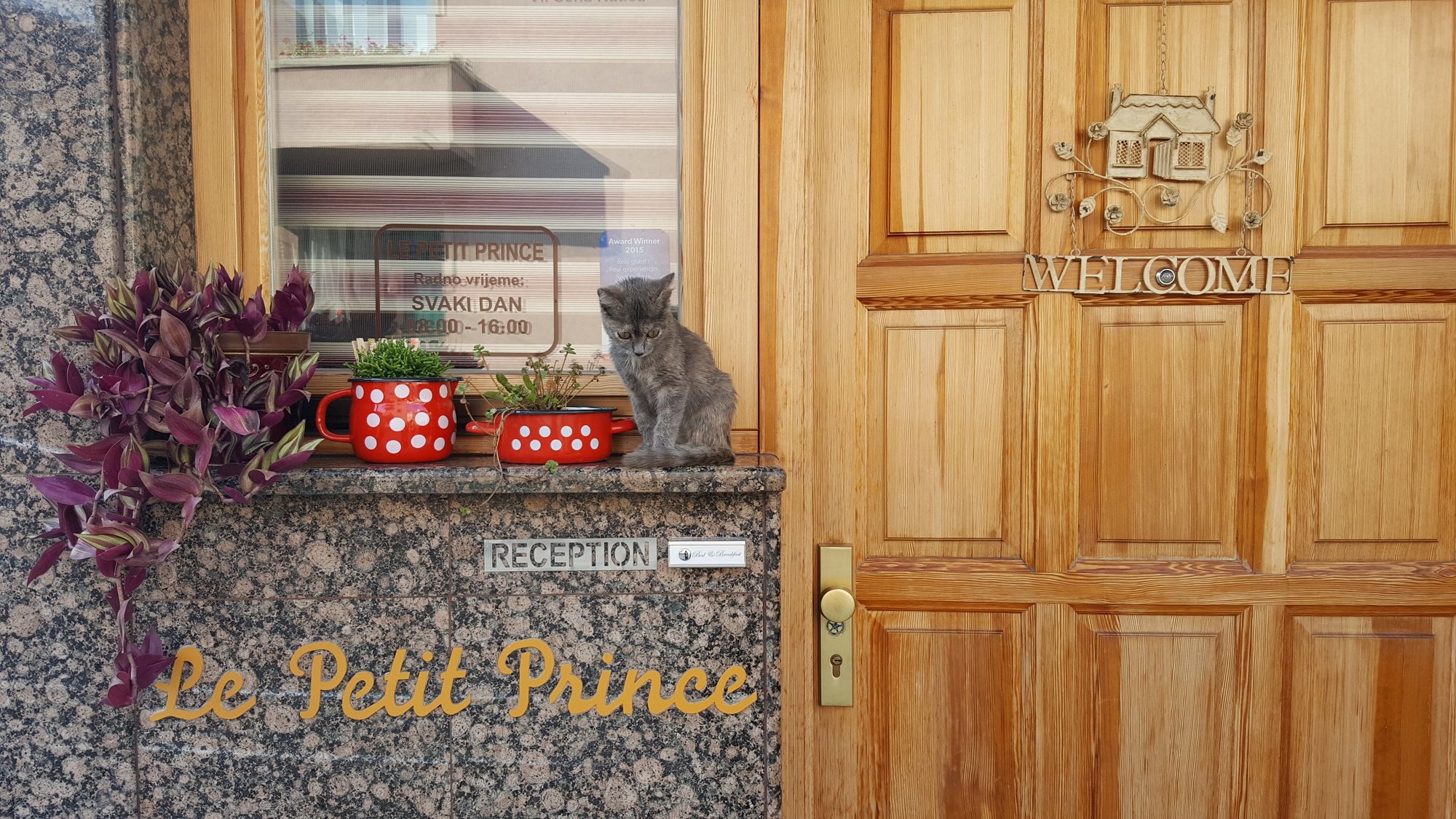 Фото Le Petit Prince