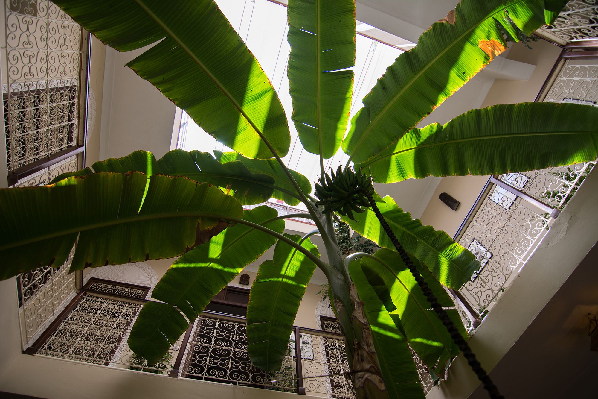 Фото Riad Marhbabikoum