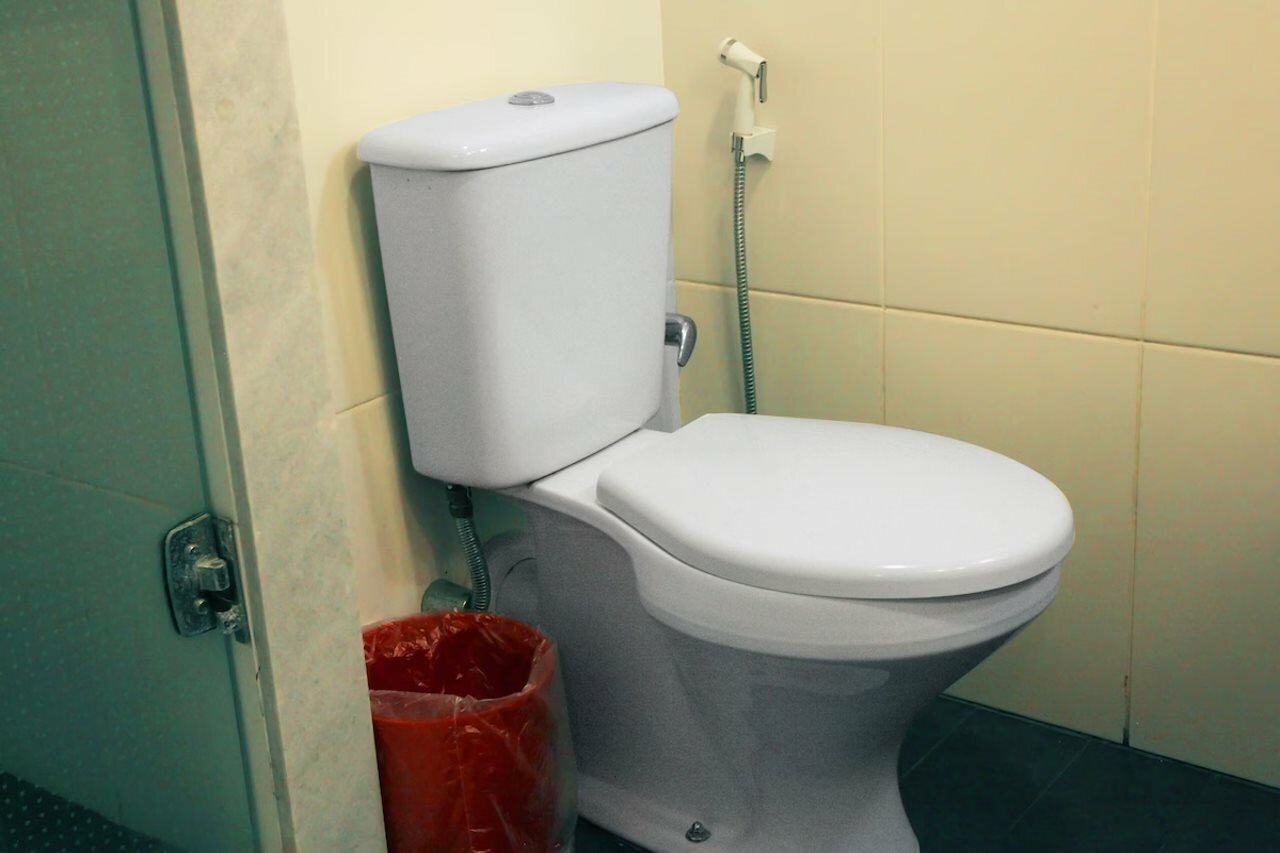 Фото Ibis Bacabal