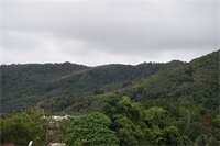 Фото Kamala Beach Residence