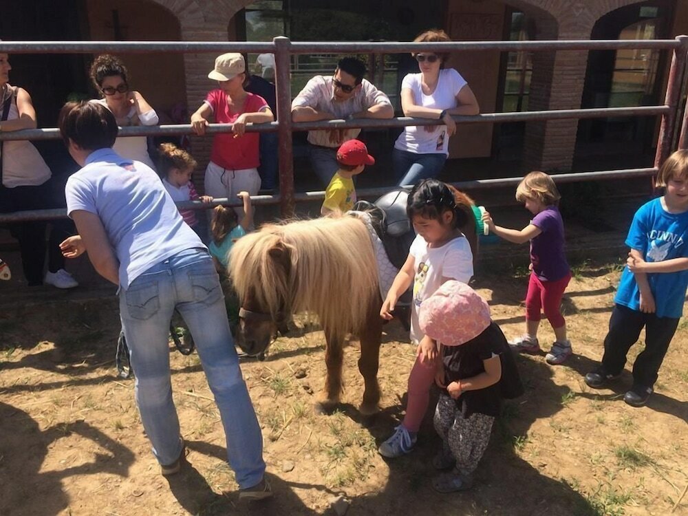 Фото Pietriccio Rosso