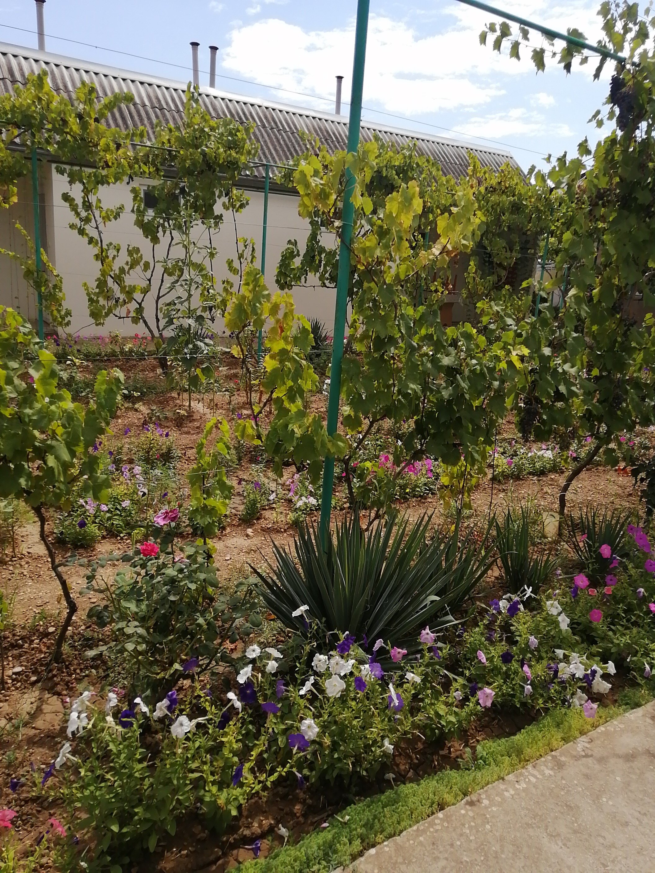 Фото Южный Берег