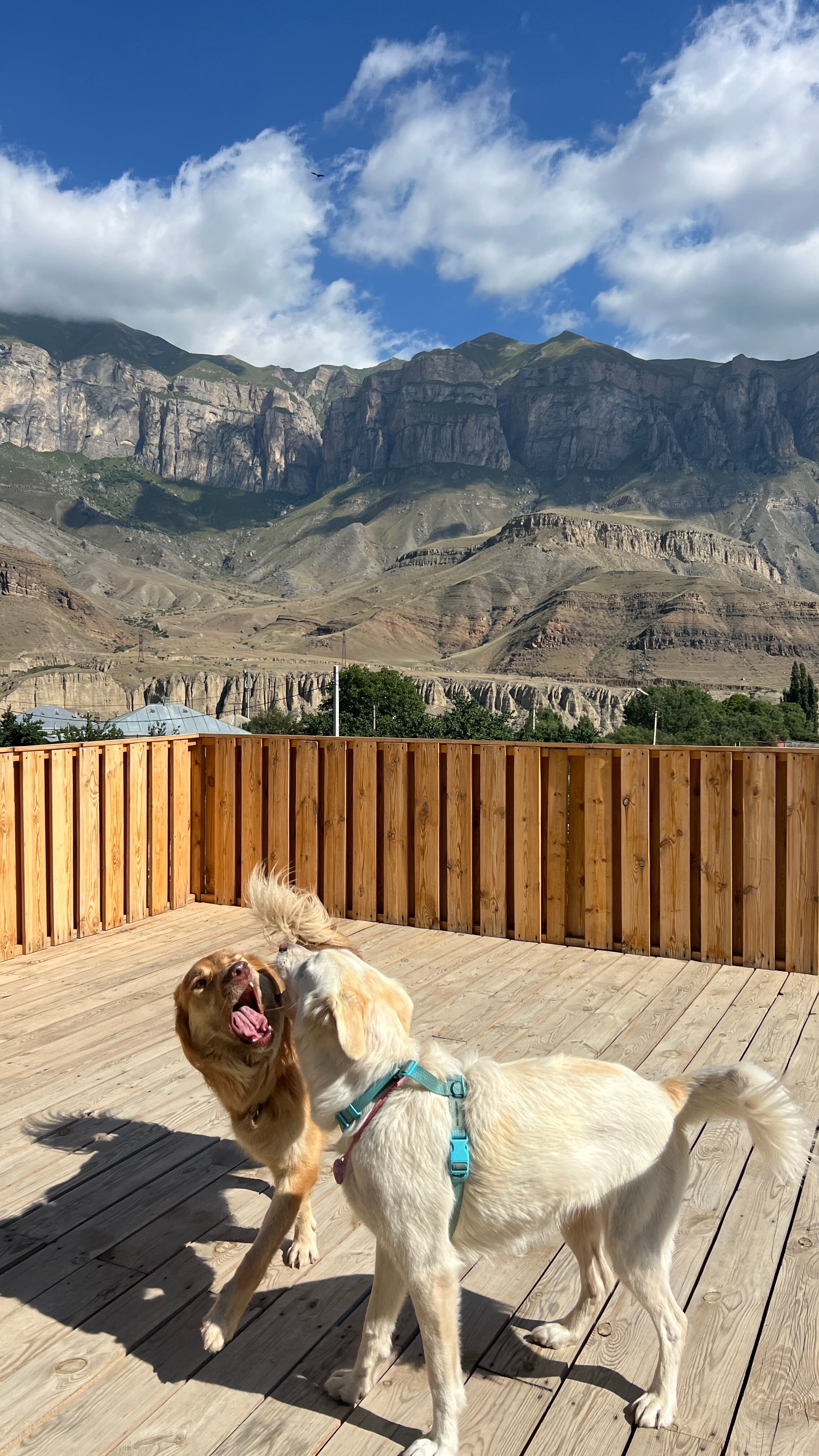 Фото Дом на Заречной