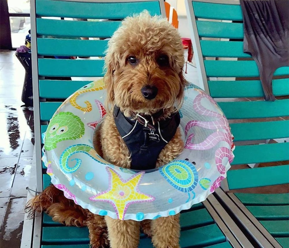 Фото Home2 Suites by Hilton Rosenberg/Sugar Land Area