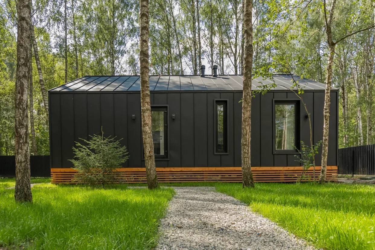 Фото У Березы