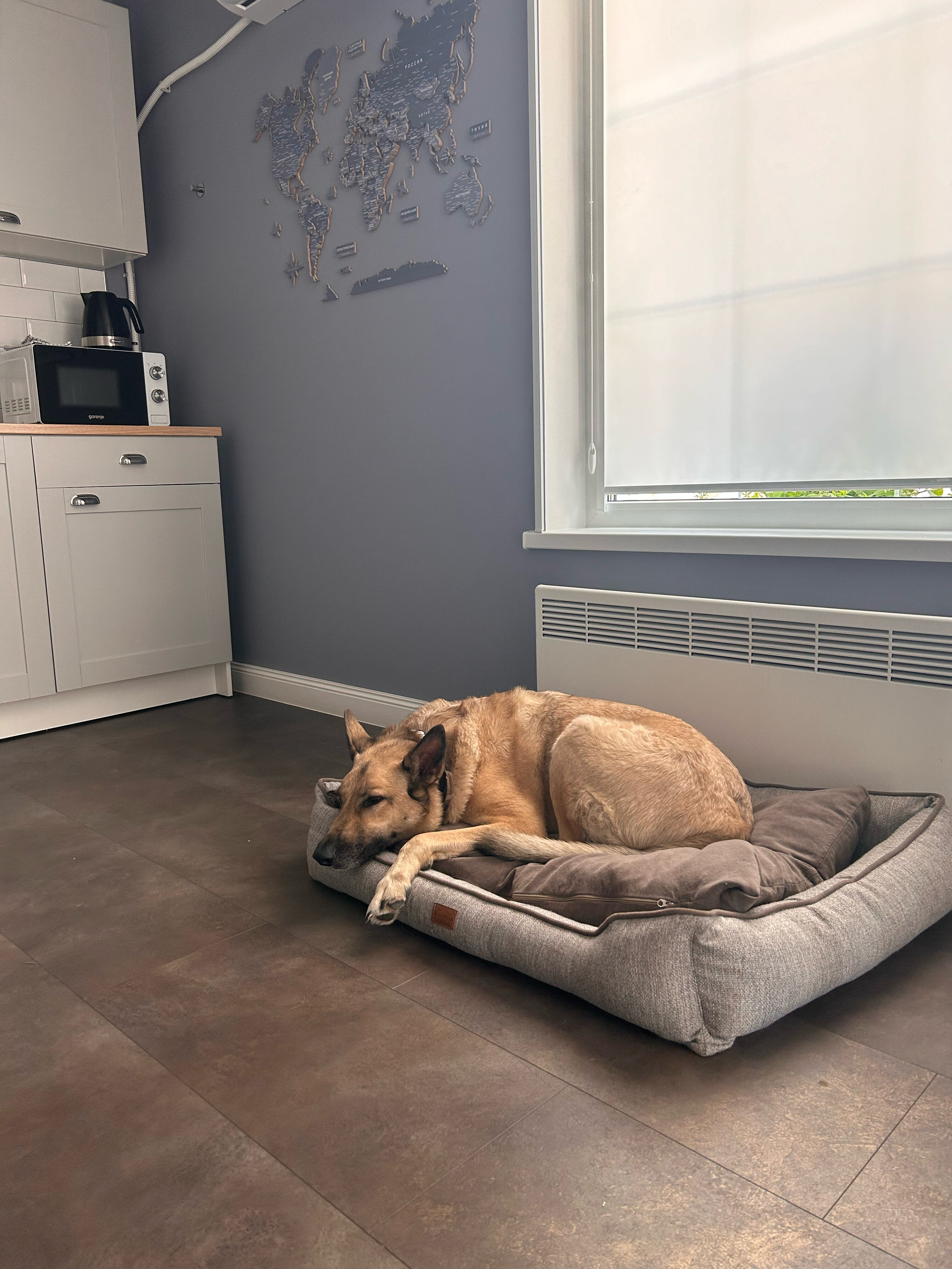 Фото Скандинавия