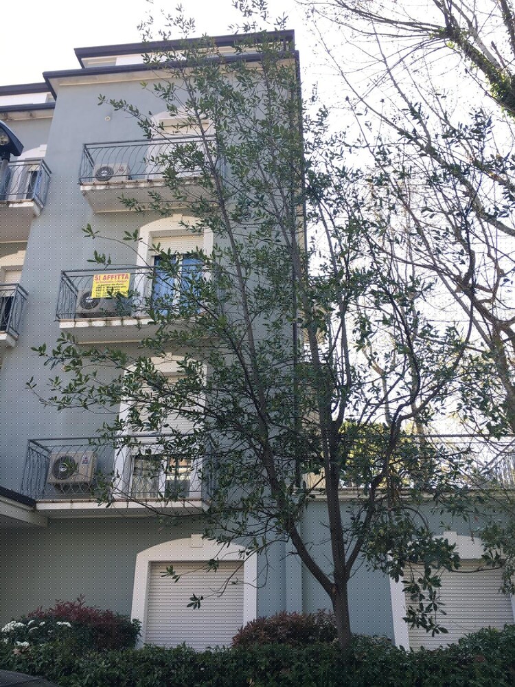 Фото Residence Riviera