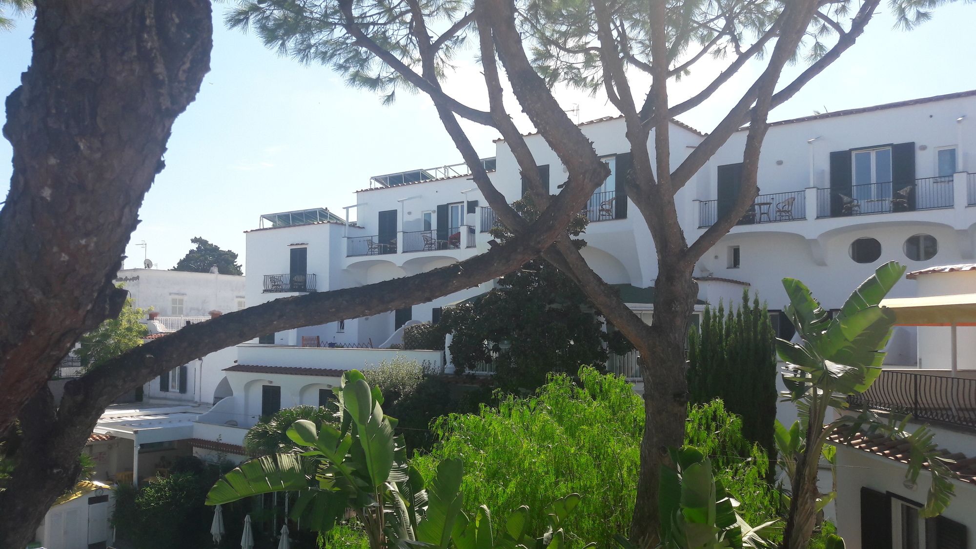 Фото Отель Floridiana Terme