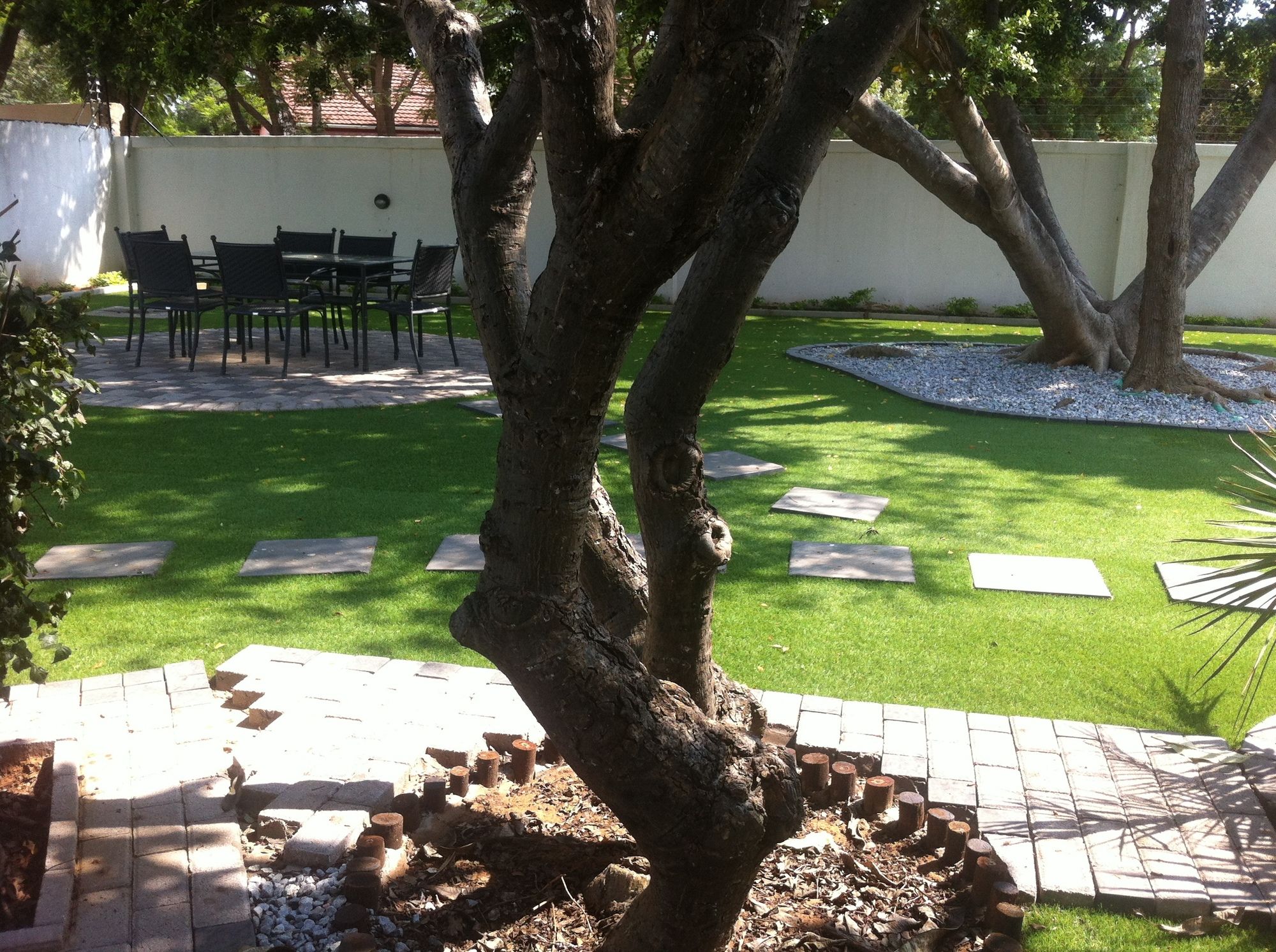 Фото Cosy Palms Guest House