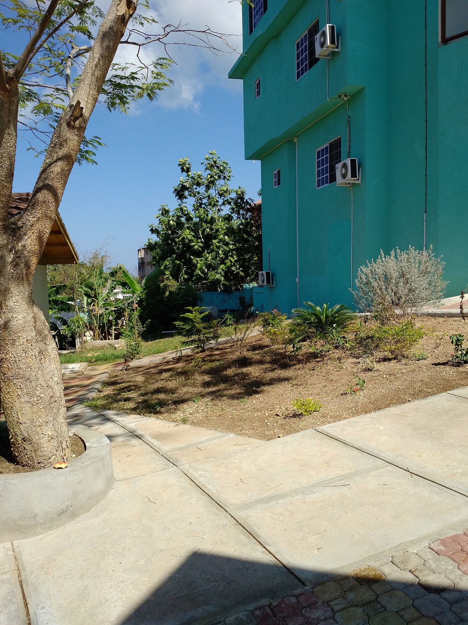 Фото Negril Sky Blue Resorts