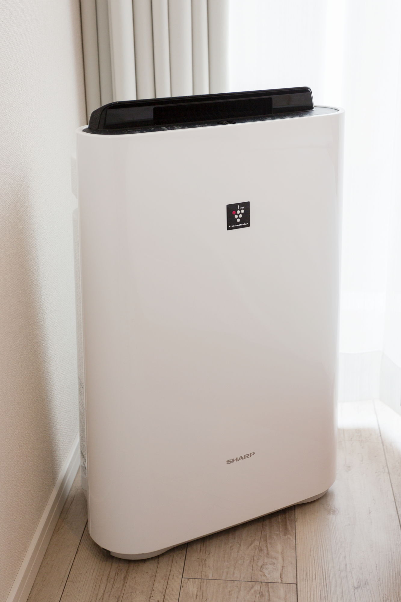 Фото Sarasa Hotel Namba