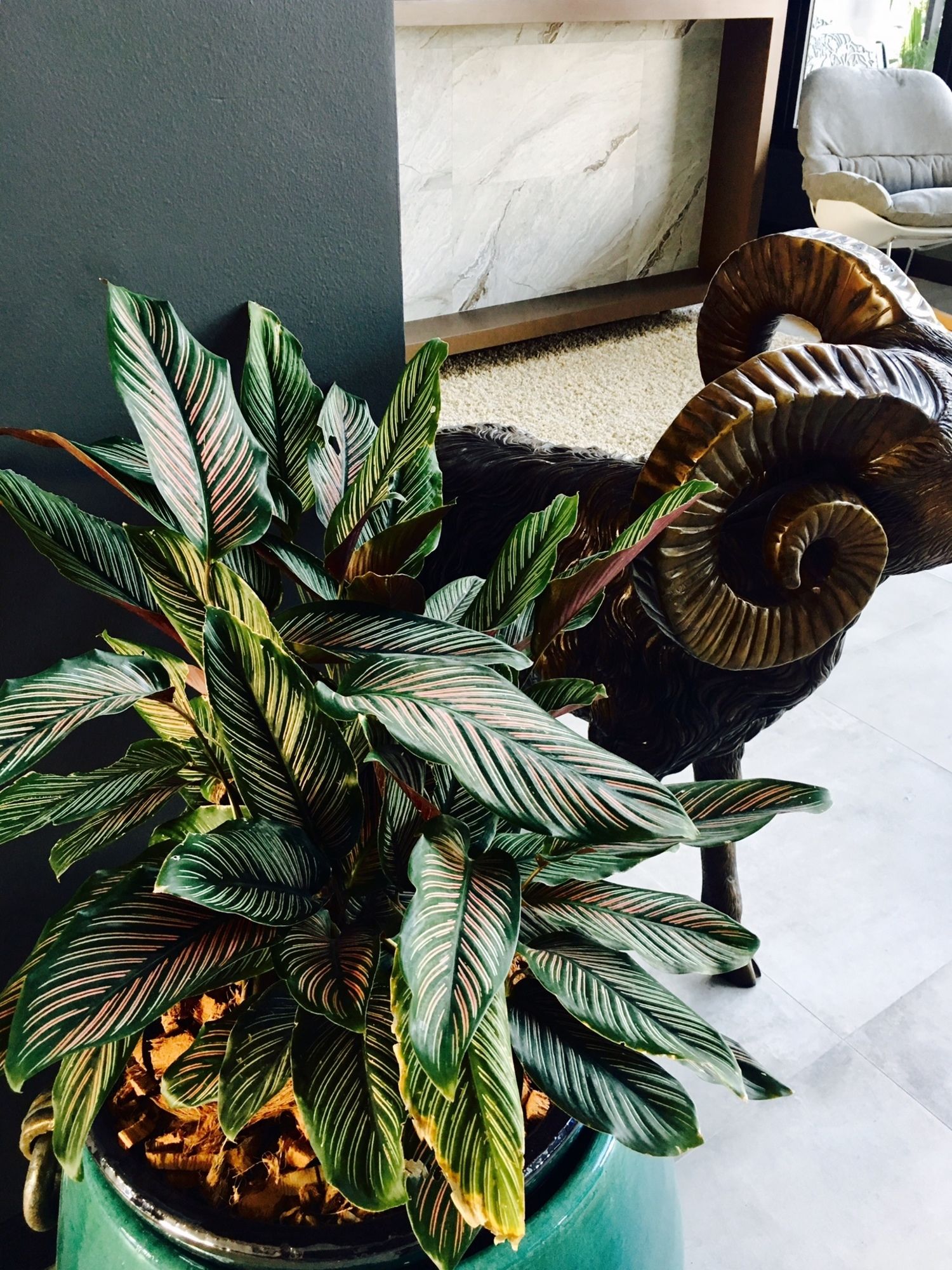 Фото Hataara Hotel