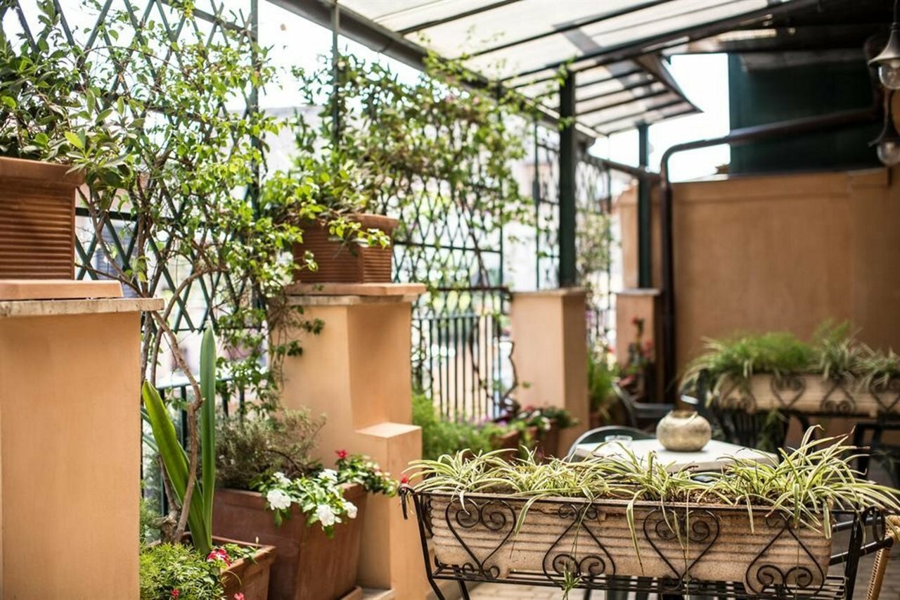 Фото Hotel Grifo