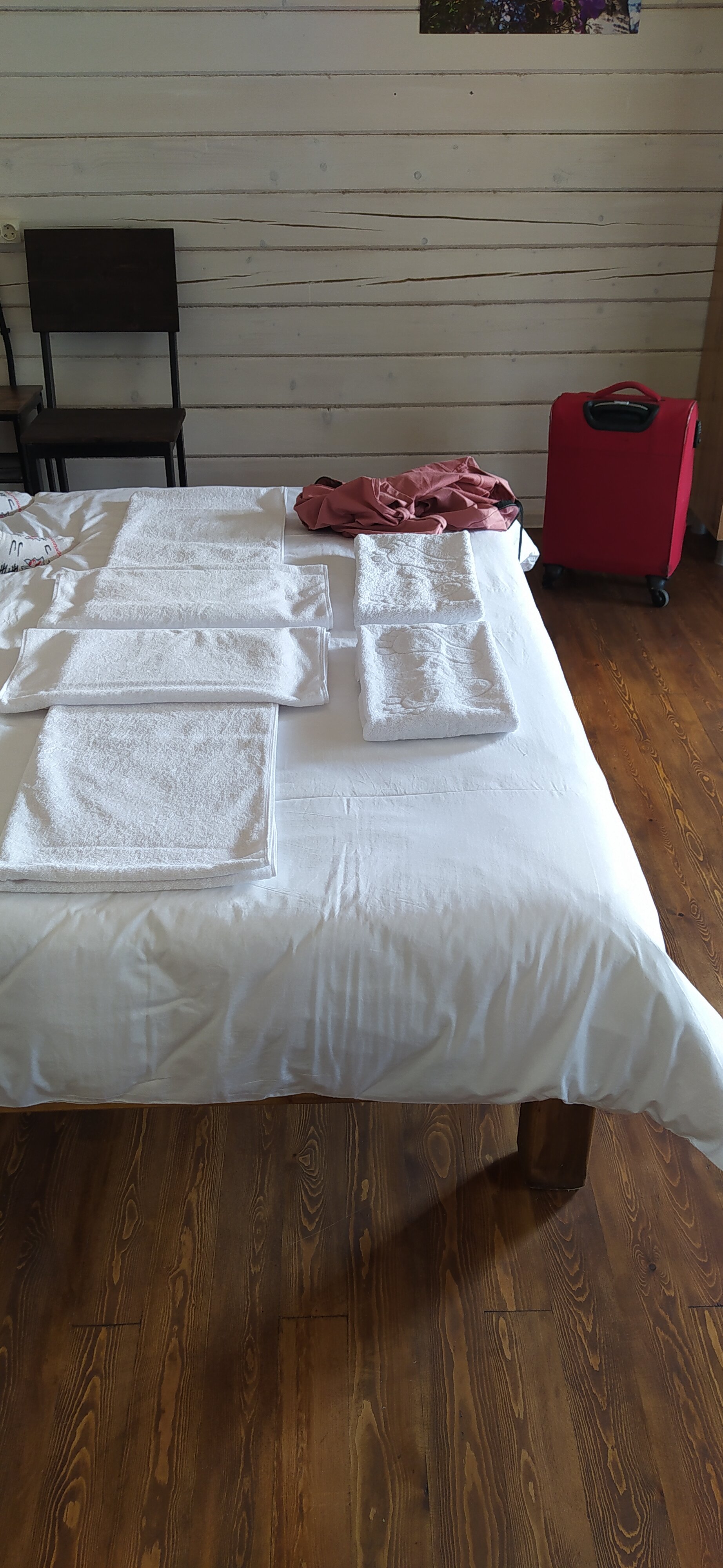 Фото Мамонт