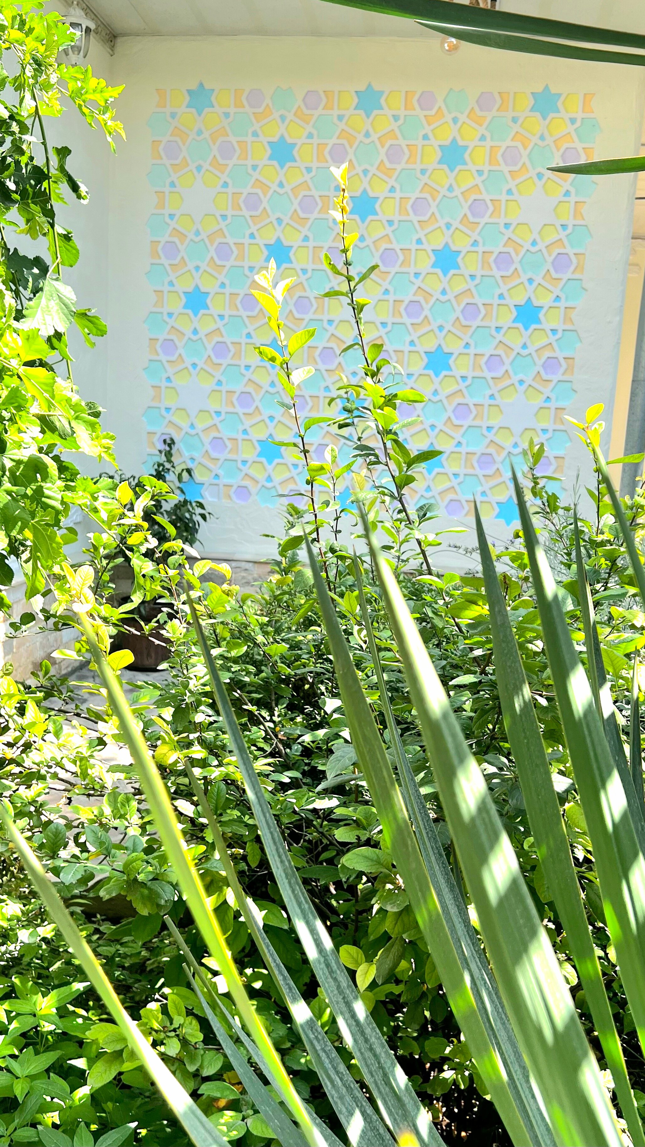 Фото Drimin by Sunrise Caravan