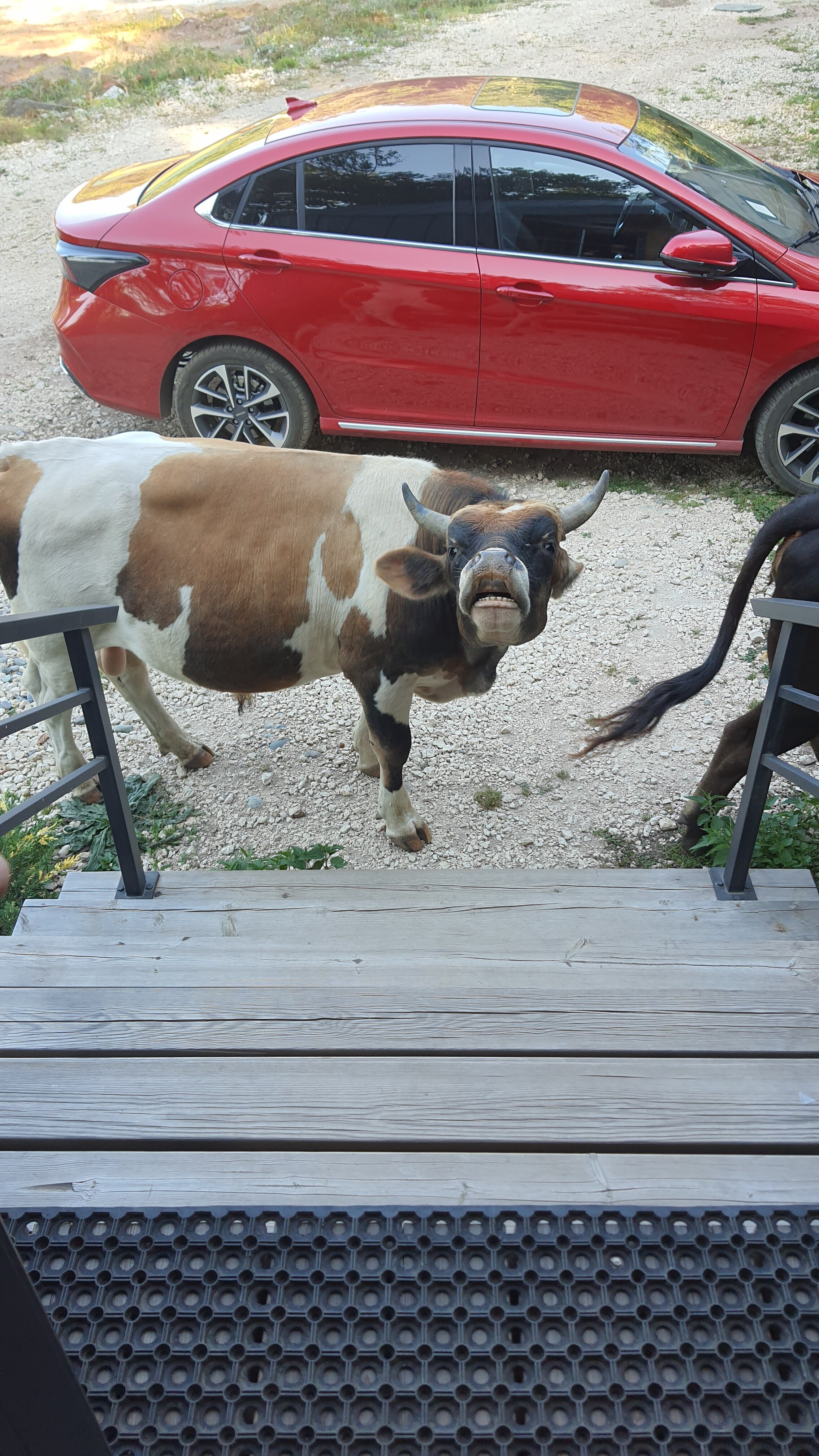 Фото WoW Горы